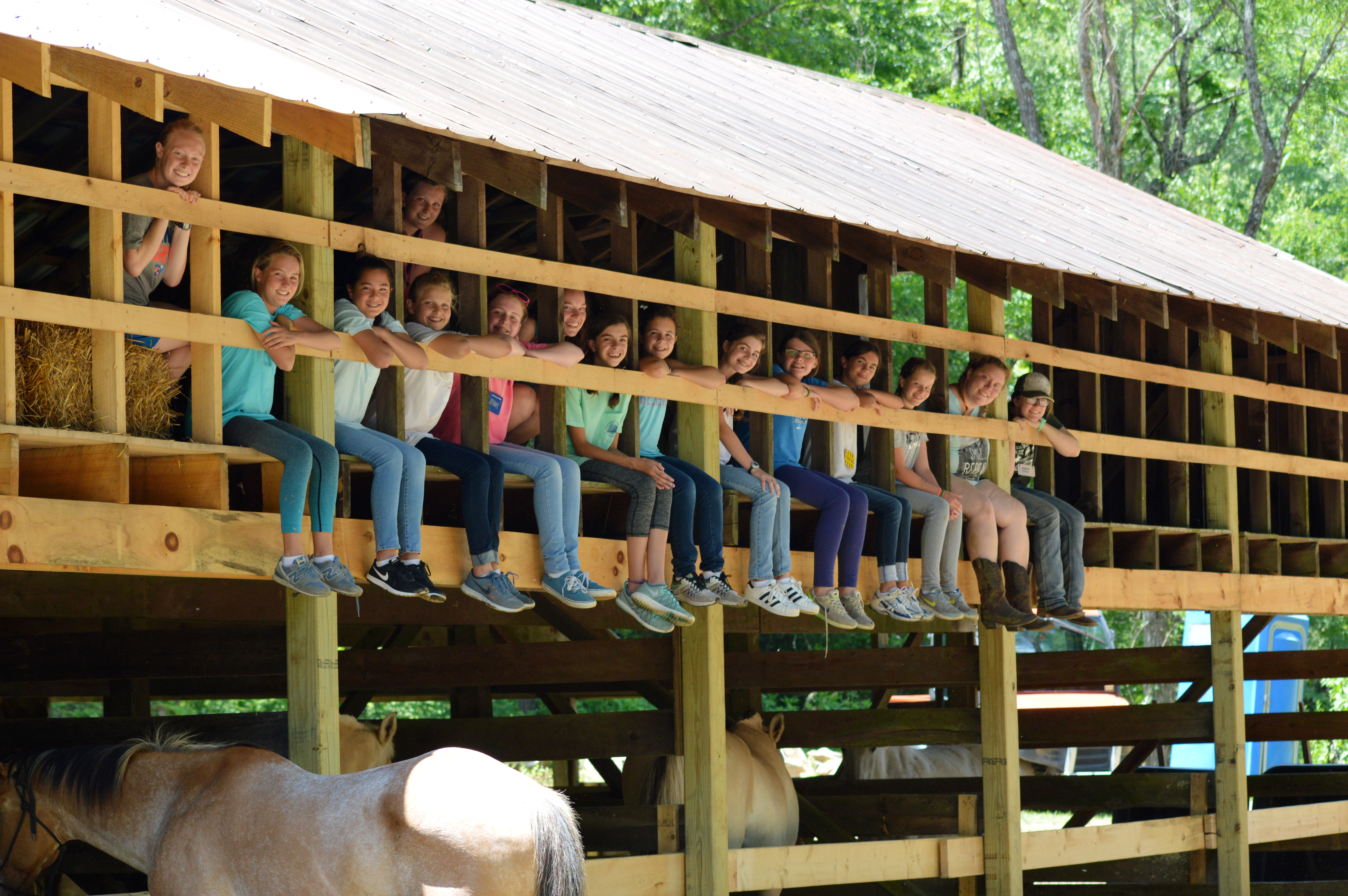 Horseback riding, gardening, and puppies at summer camp