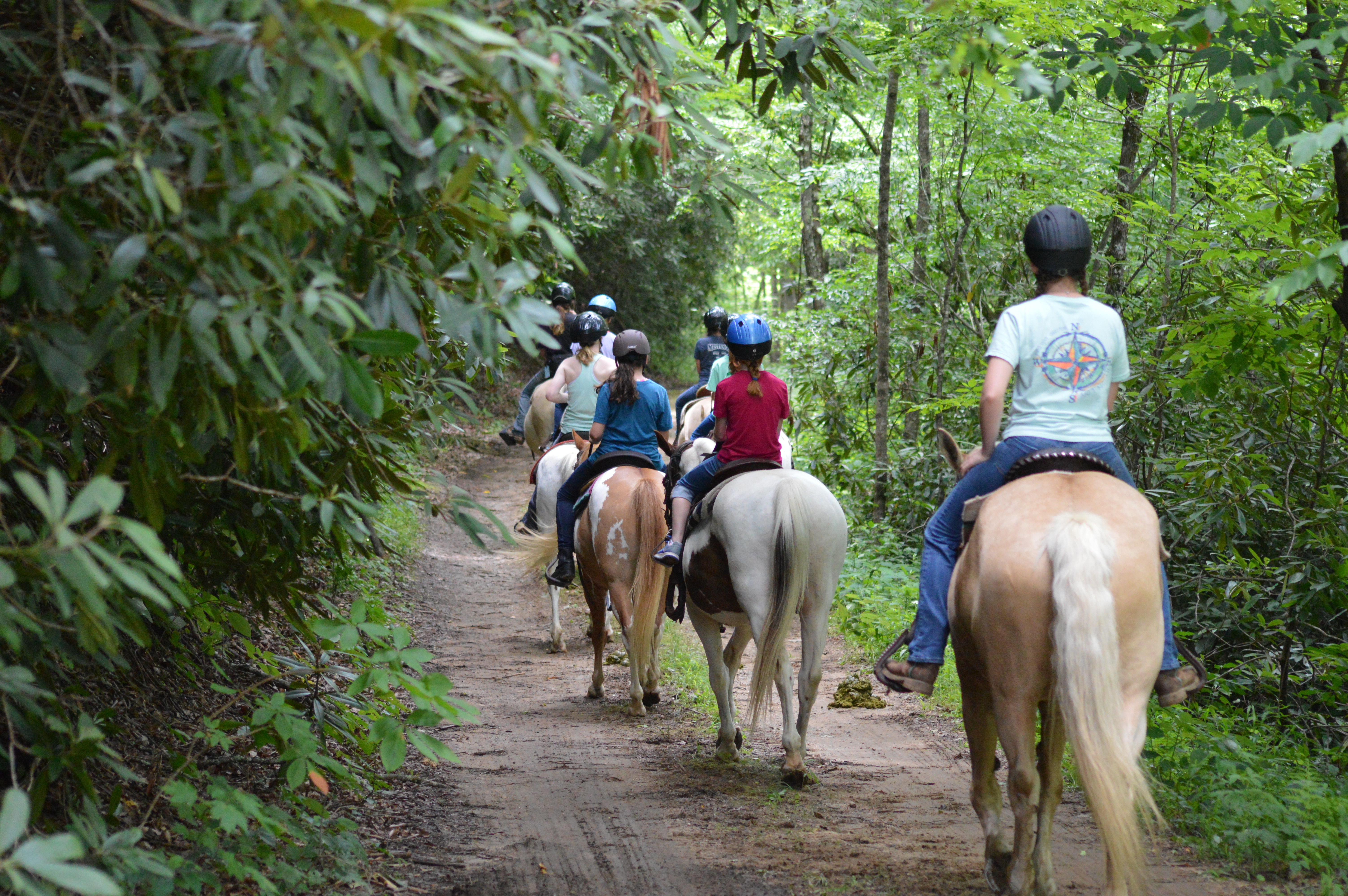 Horseback riding, gardening, and puppies at summer camp