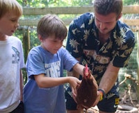 Working with chickens at summer camp.jpg?ixlib=rails 2.1