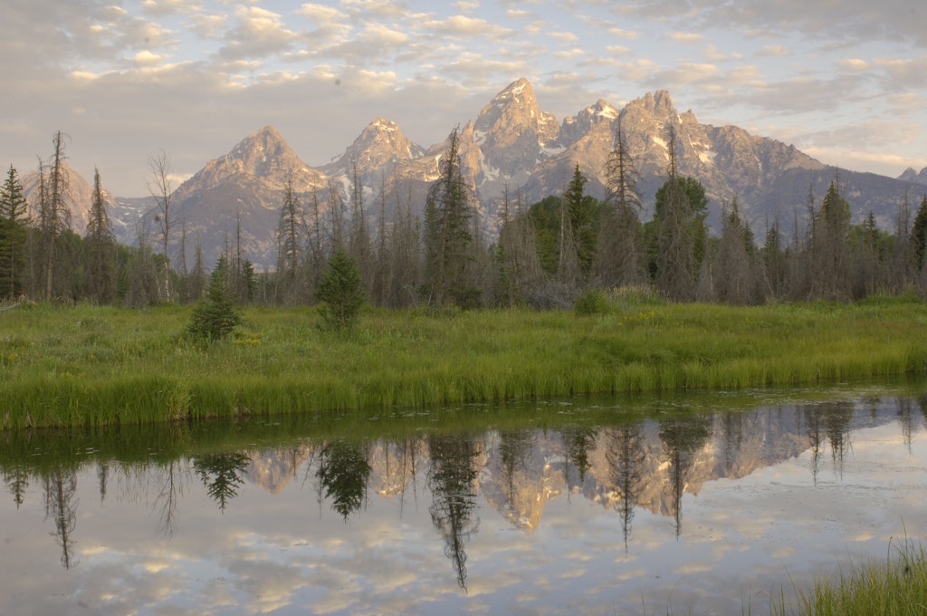 A Quick Natural History Lesson of the Tetons