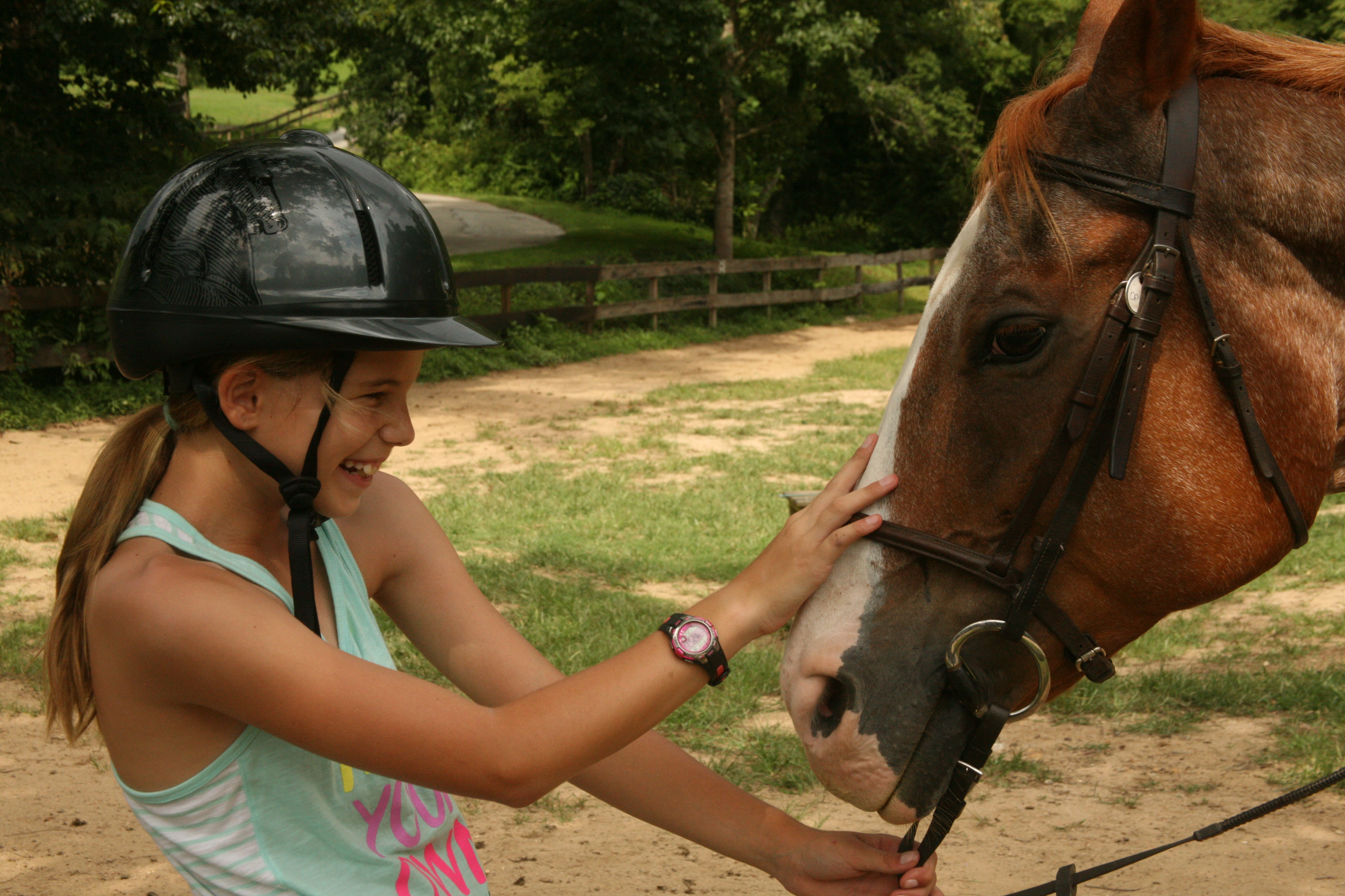 camp green cove shopify