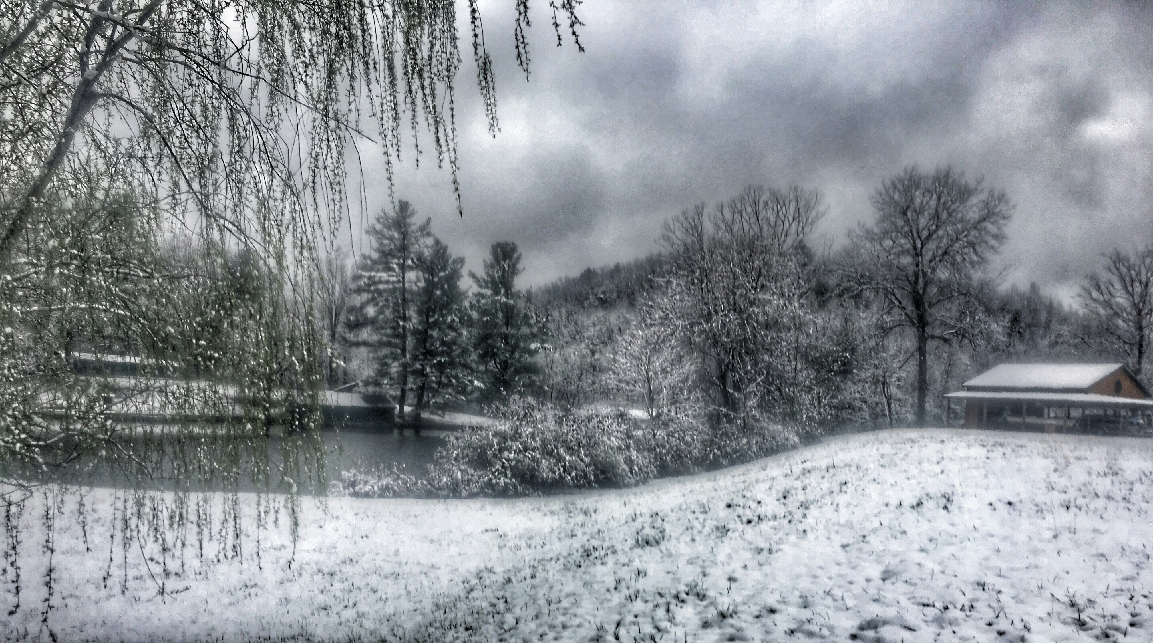 March snow showers bring...