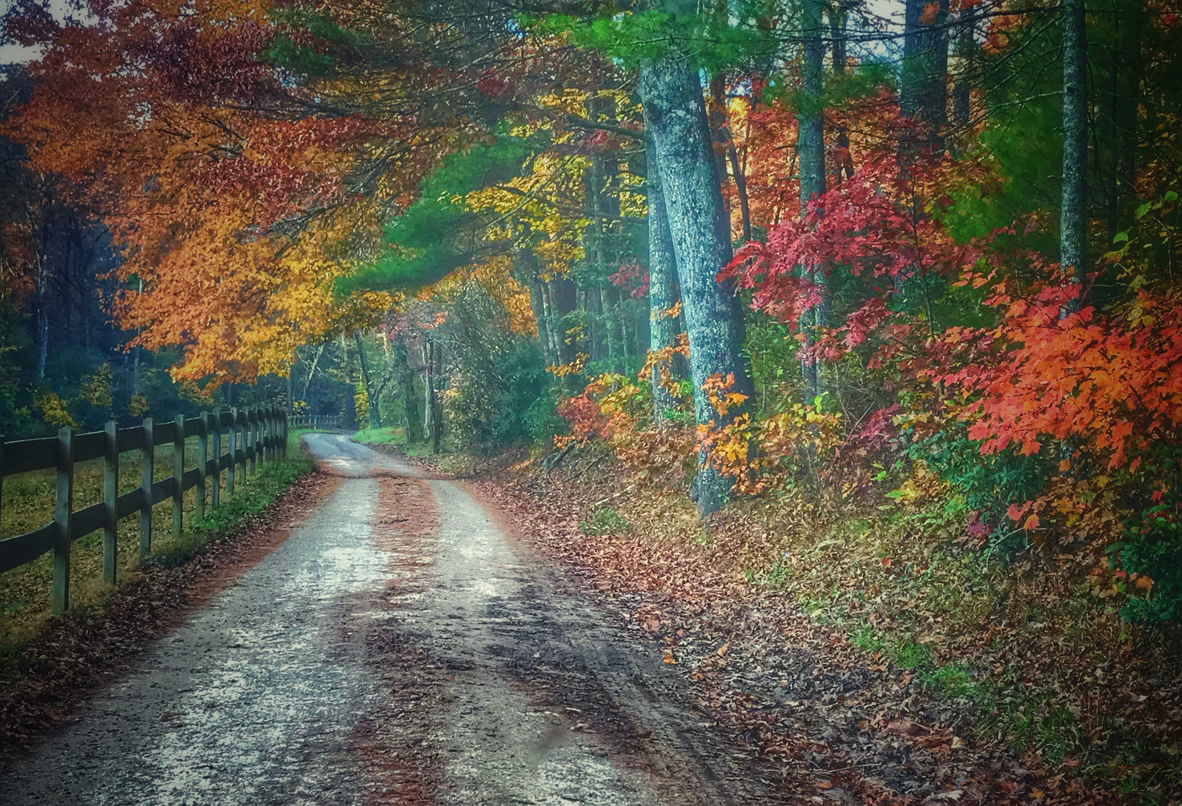 Fall: A Season of Change