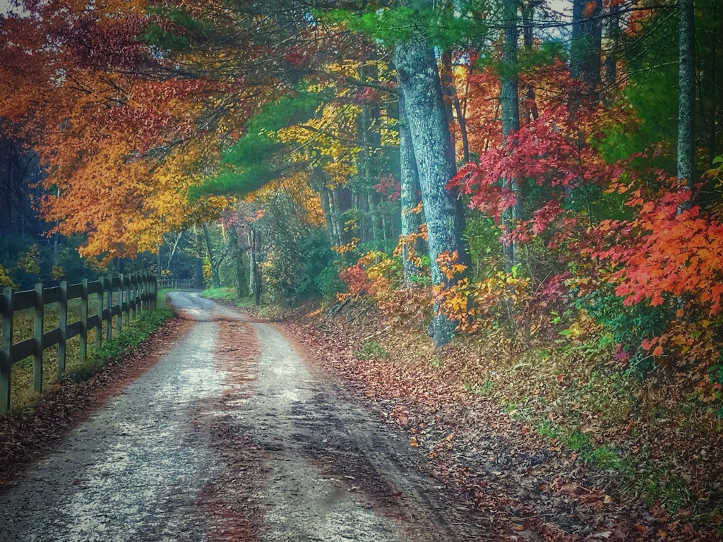 Fall: A Season of Change