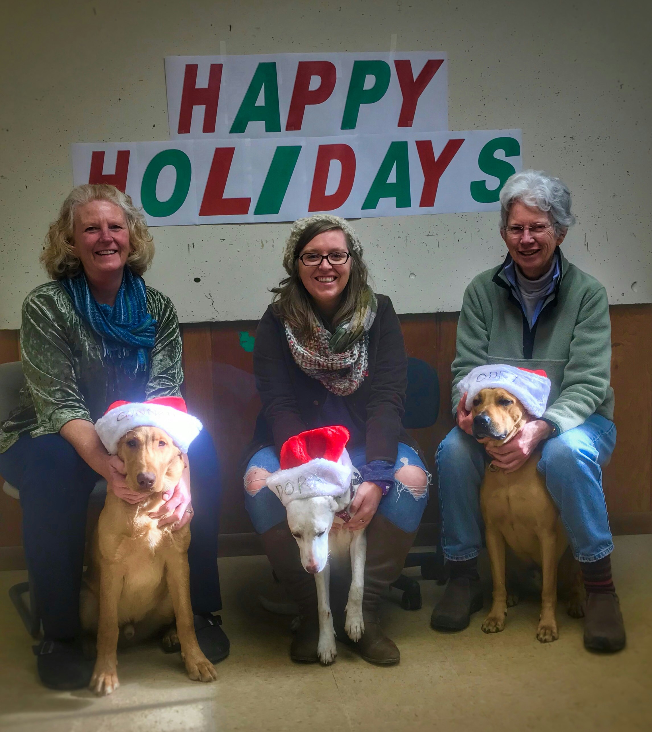 Dreaming of a White Christmas...