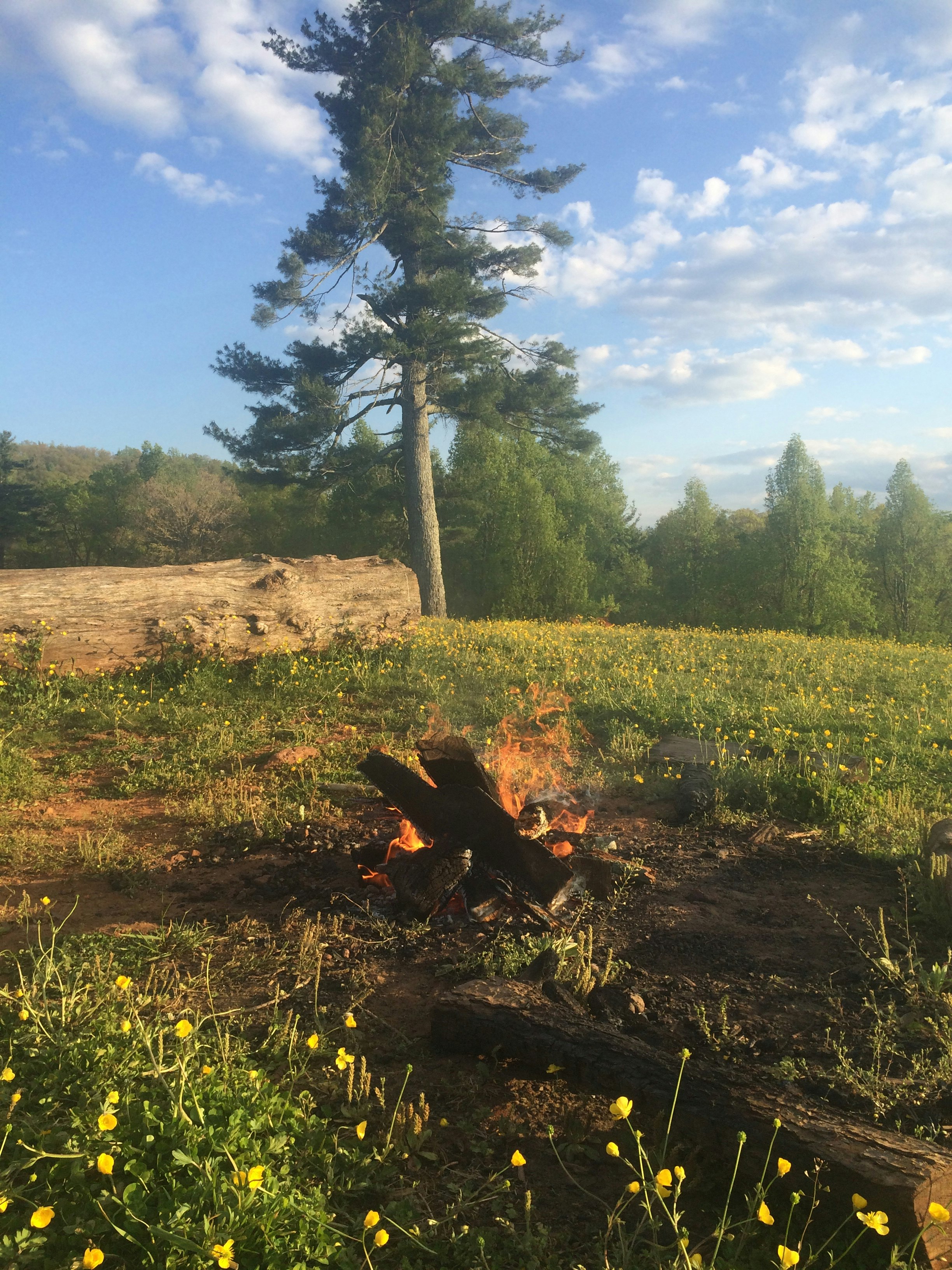 NEW blog post, who dis?