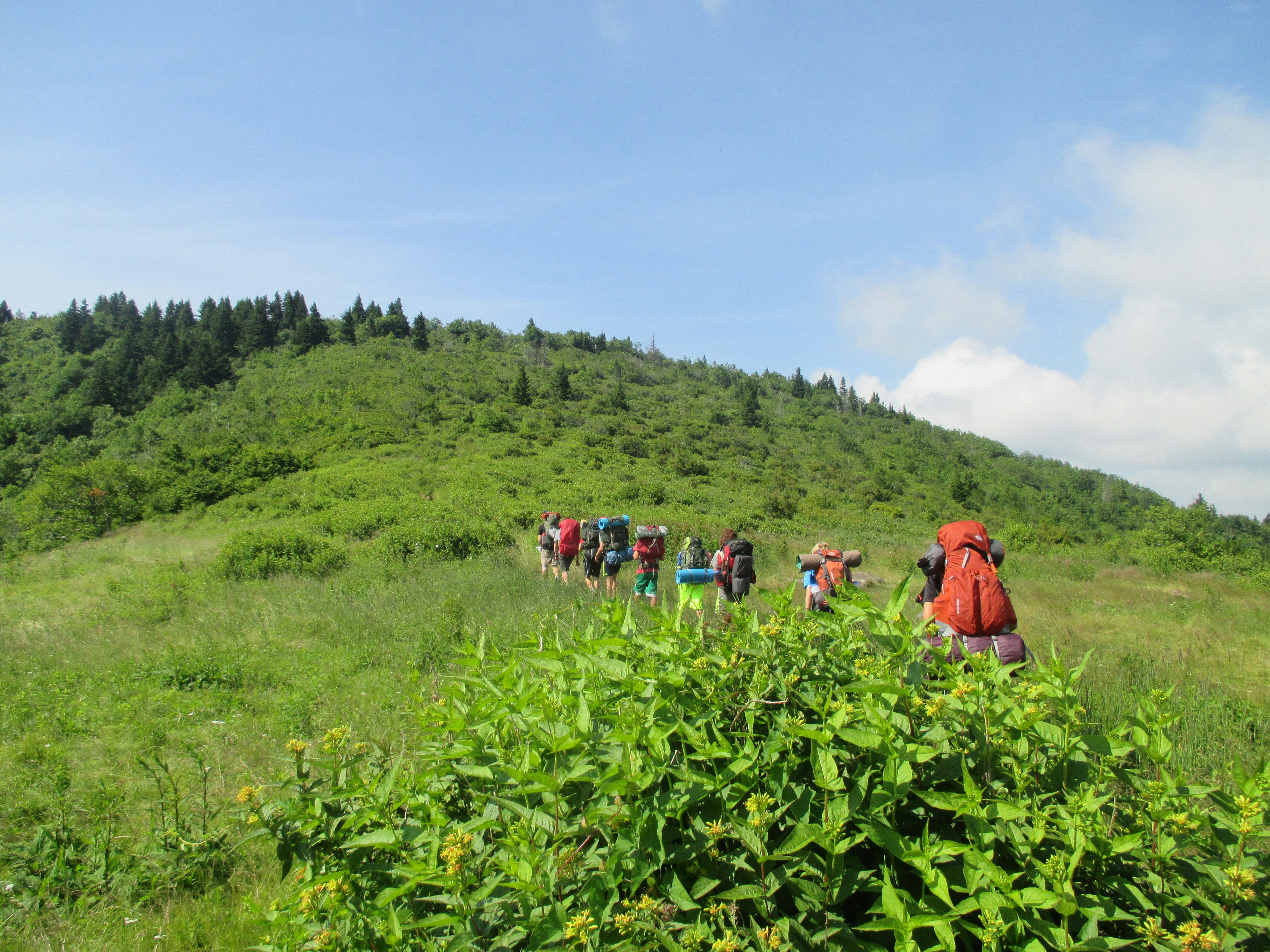 Connecting With The Community