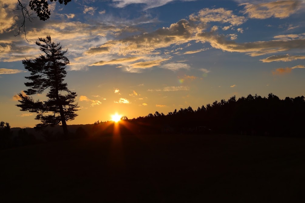 Second Virtual Campfire