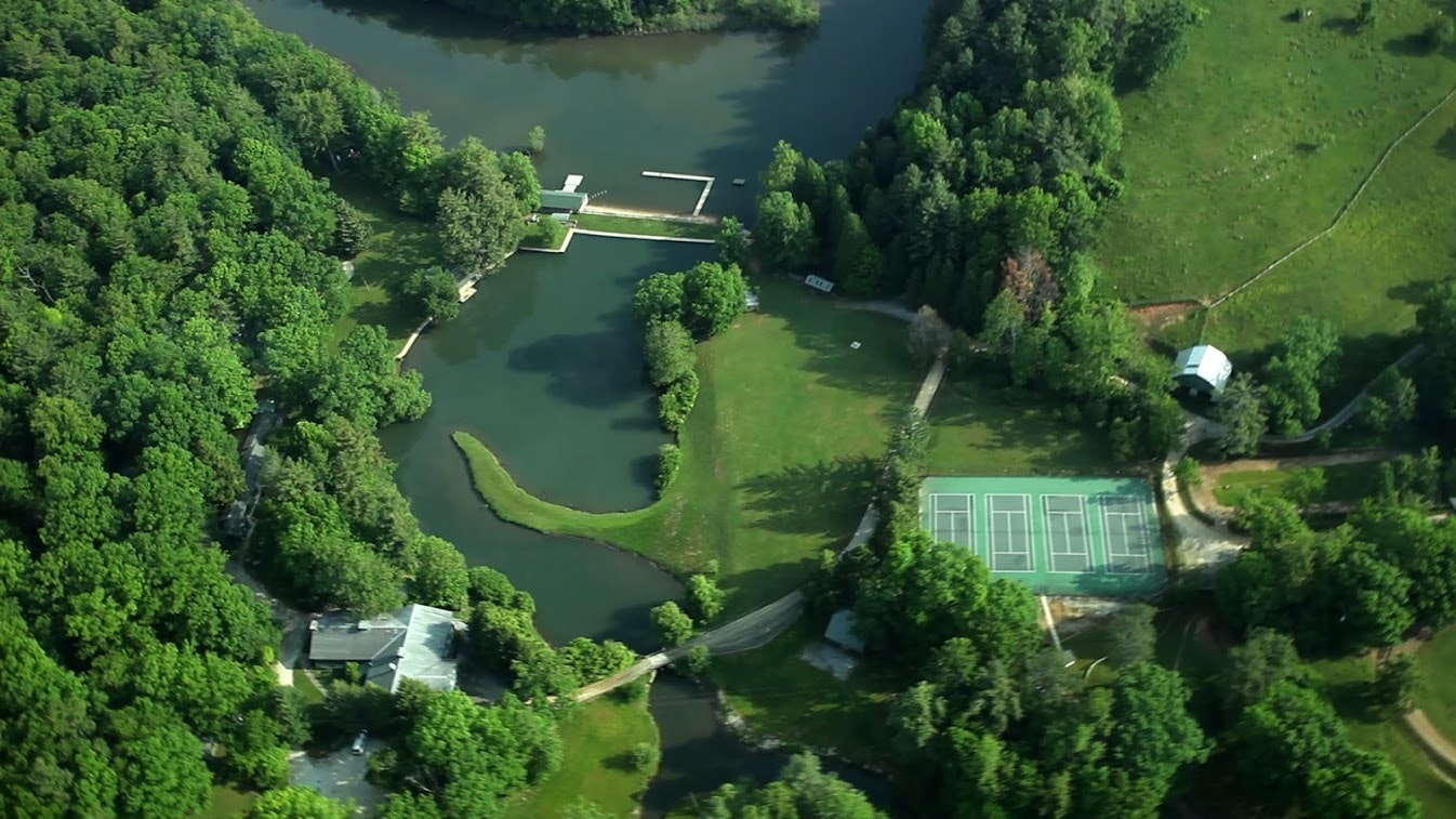 What's New at Green Cove!