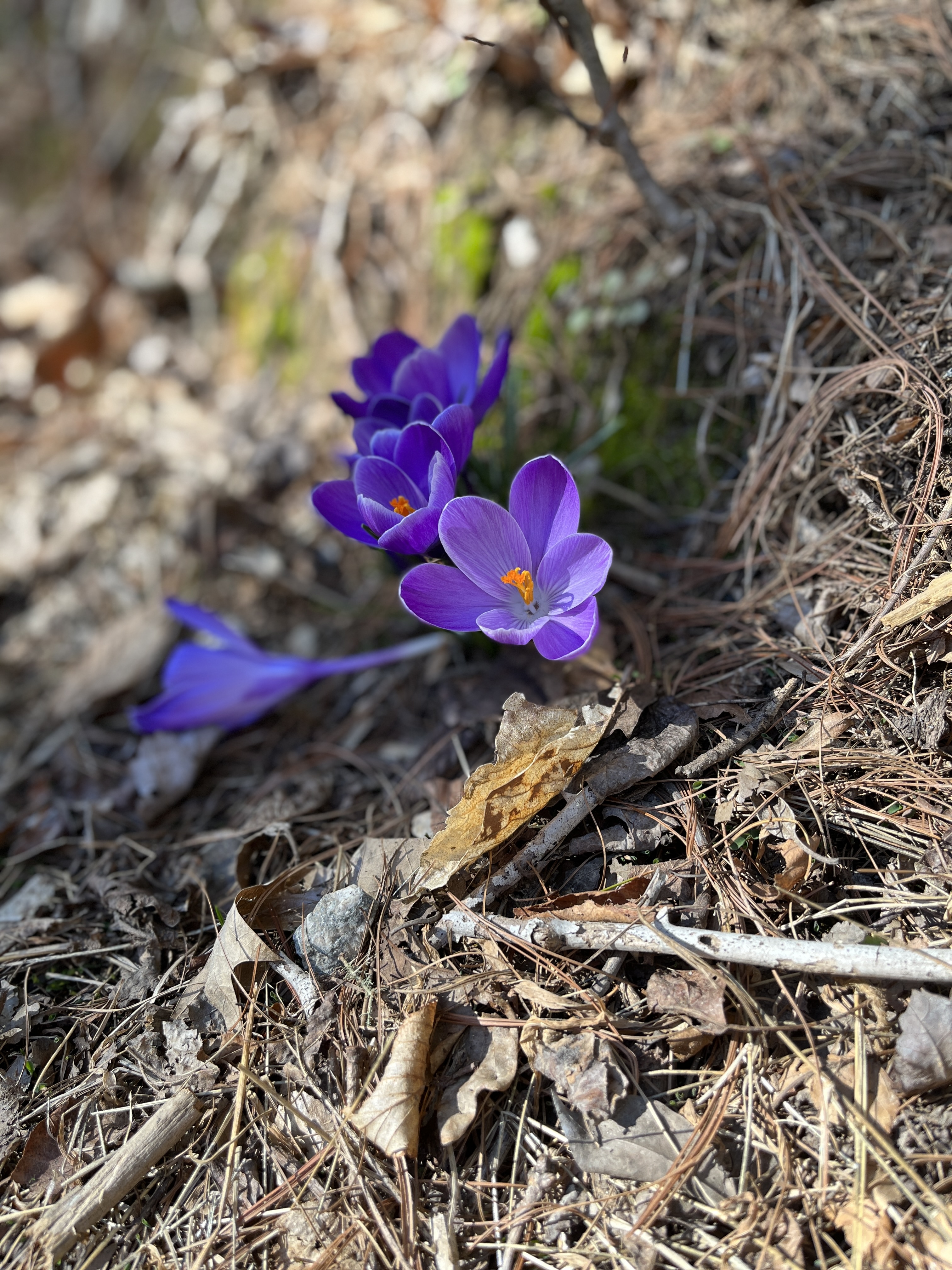 Learn resiliency, relationships, and how to navigate change.