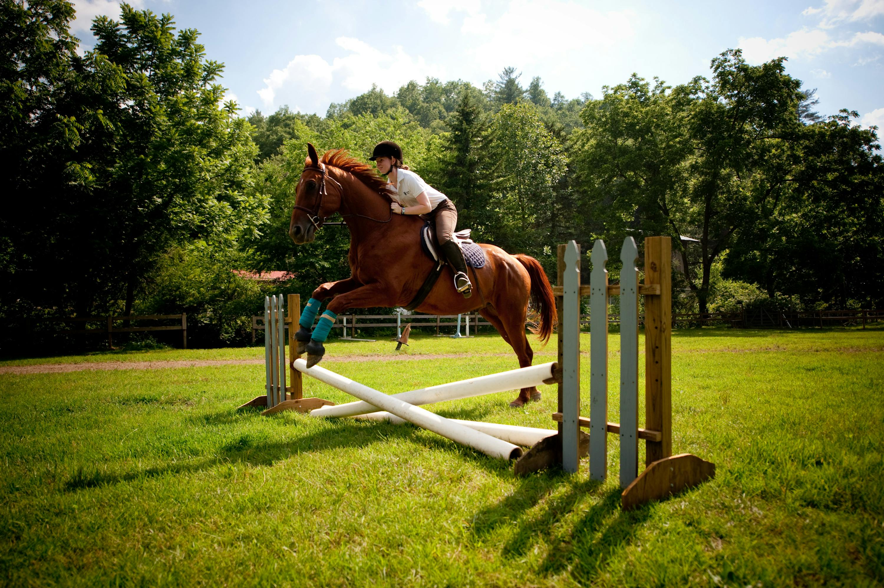 Horseback Riding Summer Camp Keystone, Best in Western NC!