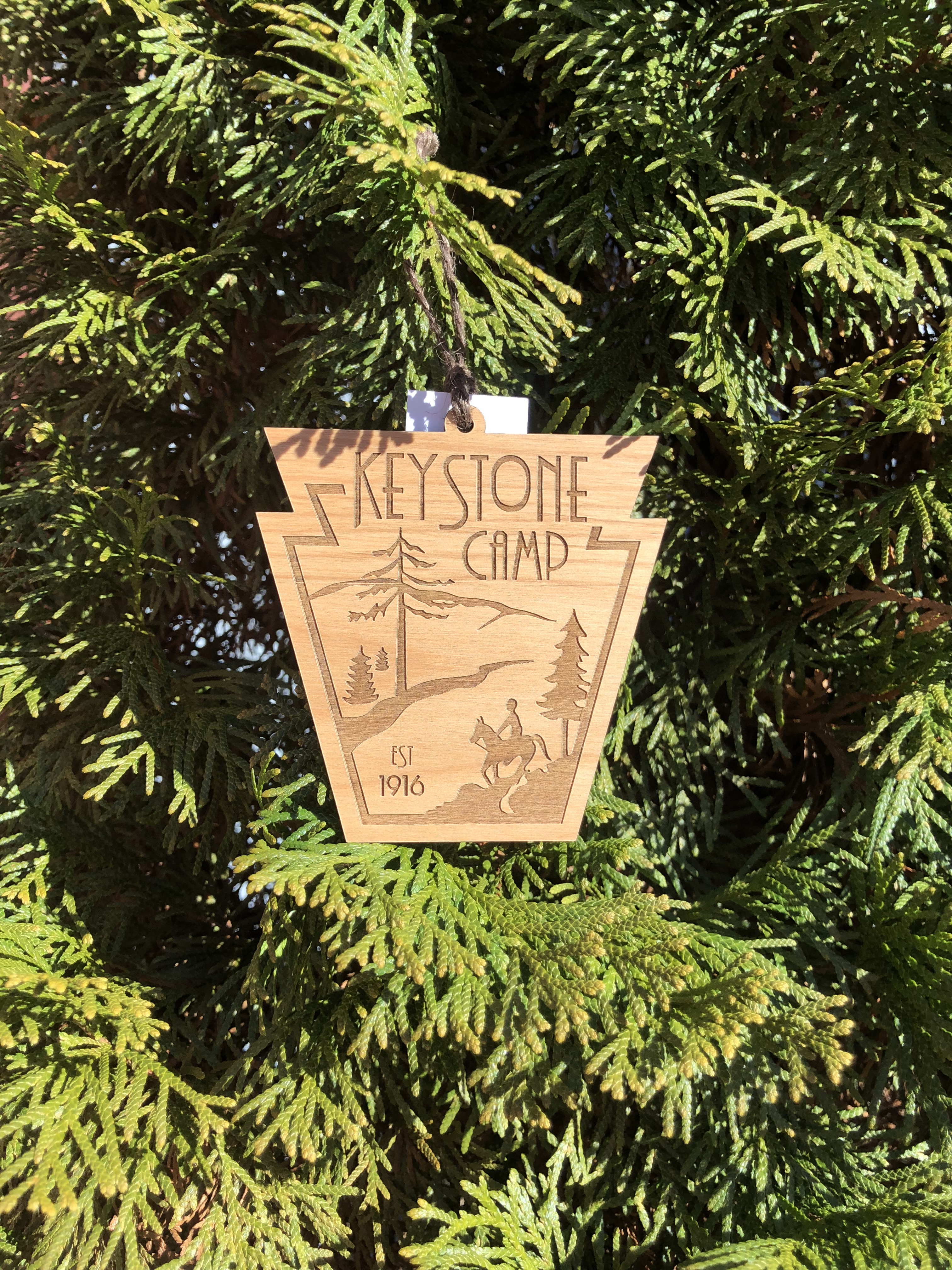 'Twas the Night Before Summer Camp and All Through Brevard