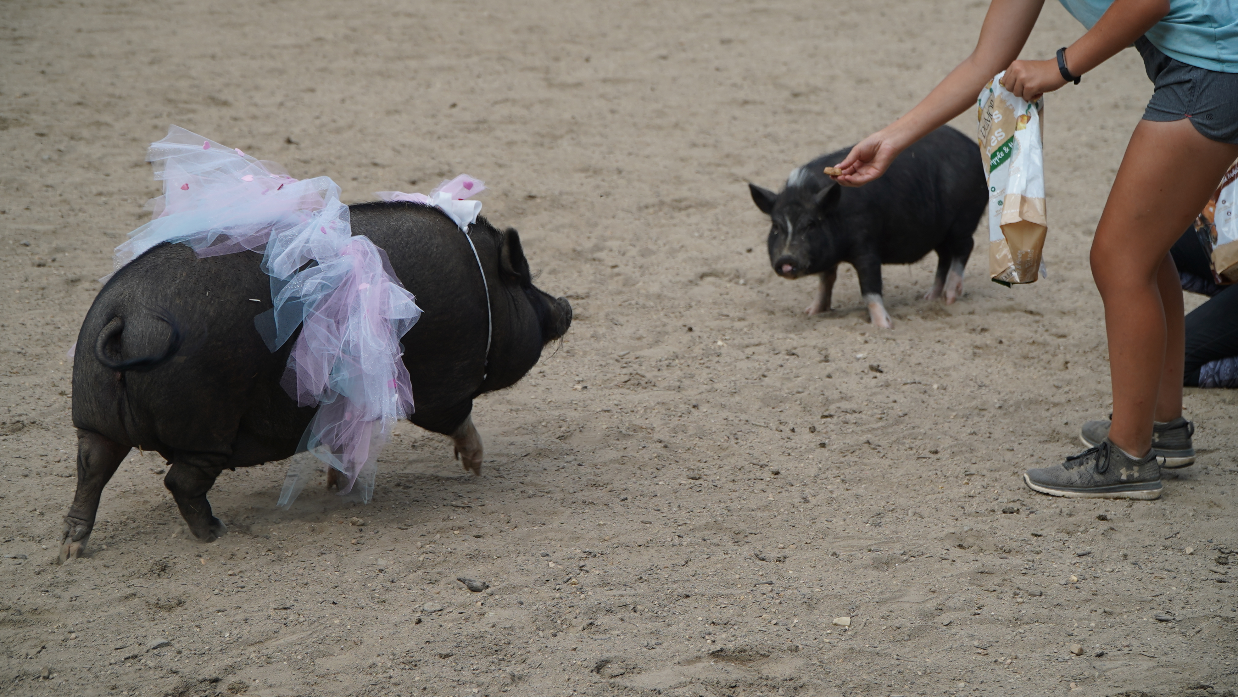 Girls camp teaches the value of simplicity 