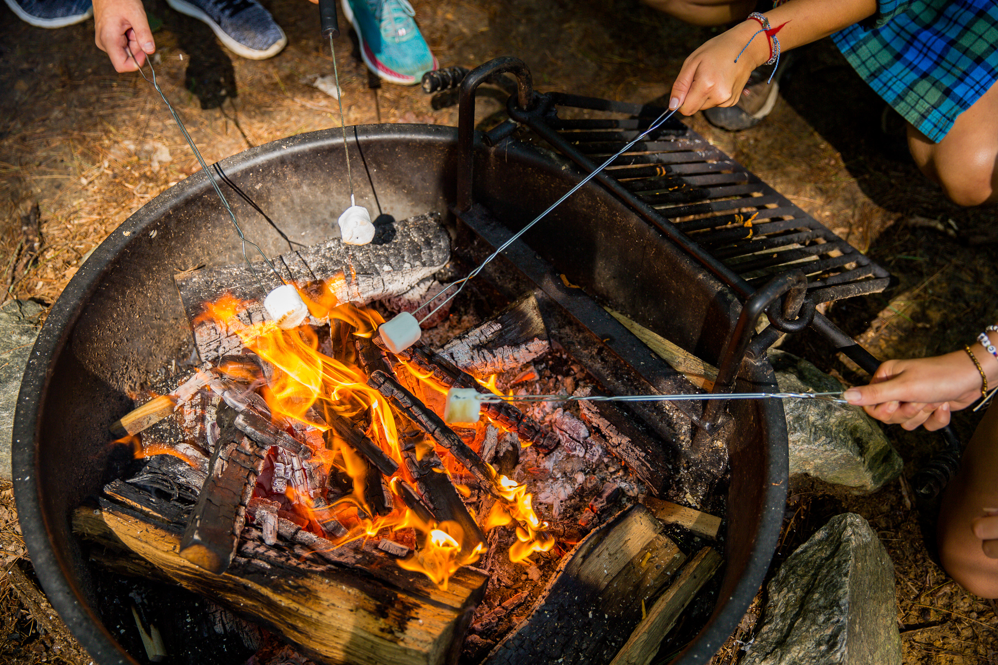 Summer Camp from Home 