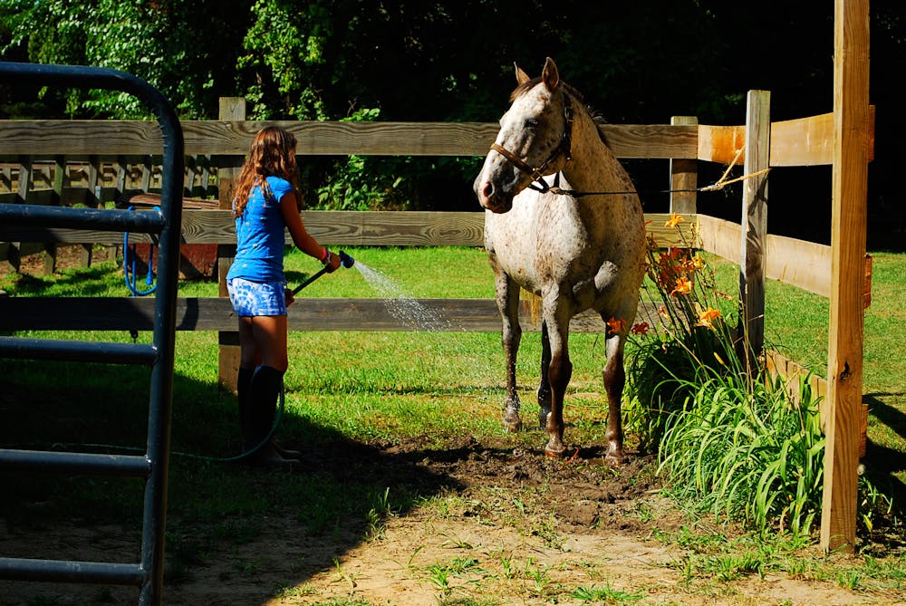 Michigan girls camp horse.jpg?ixlib=rails 2.1