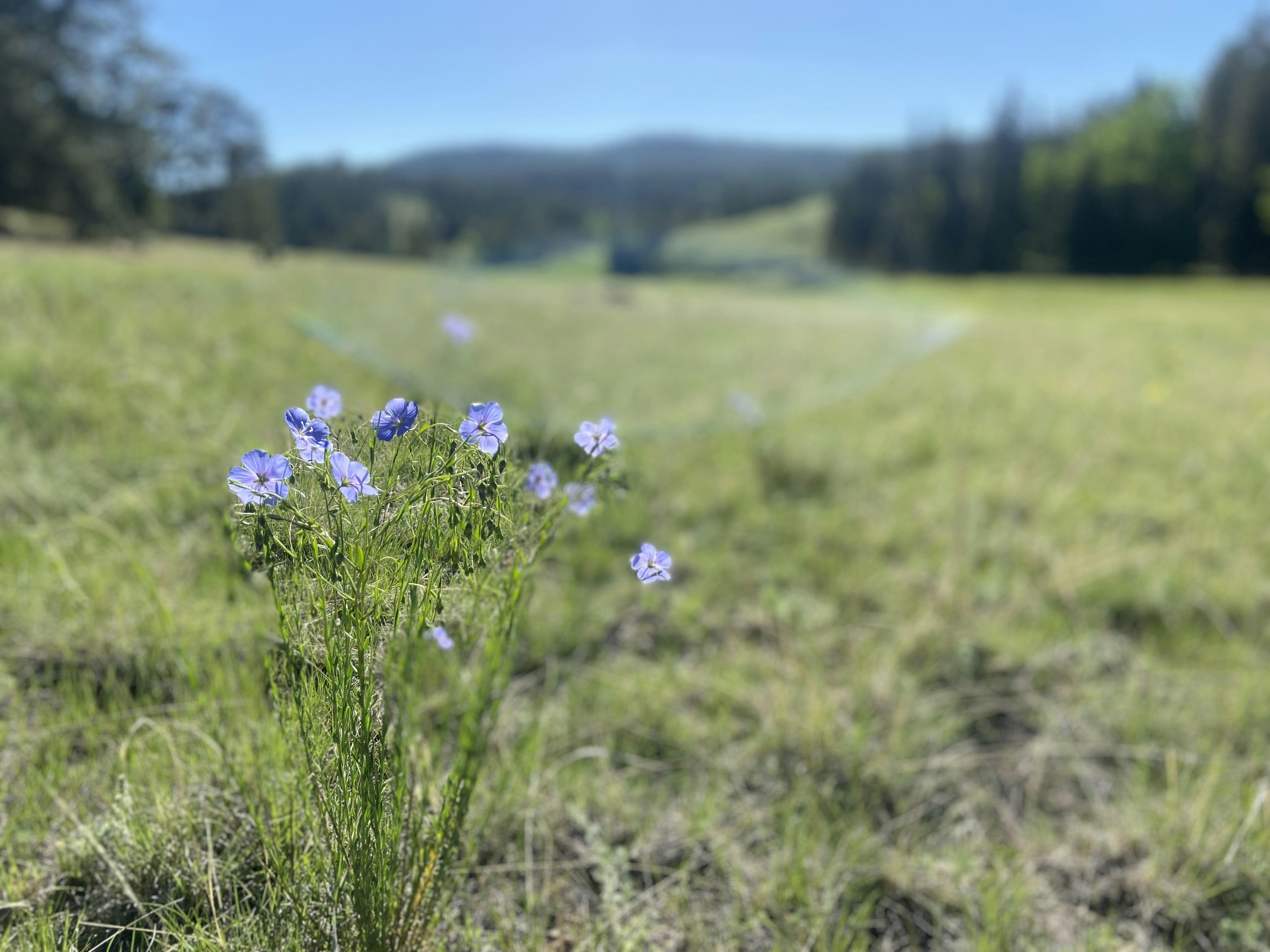 Weekly Update: June 11th, 2023