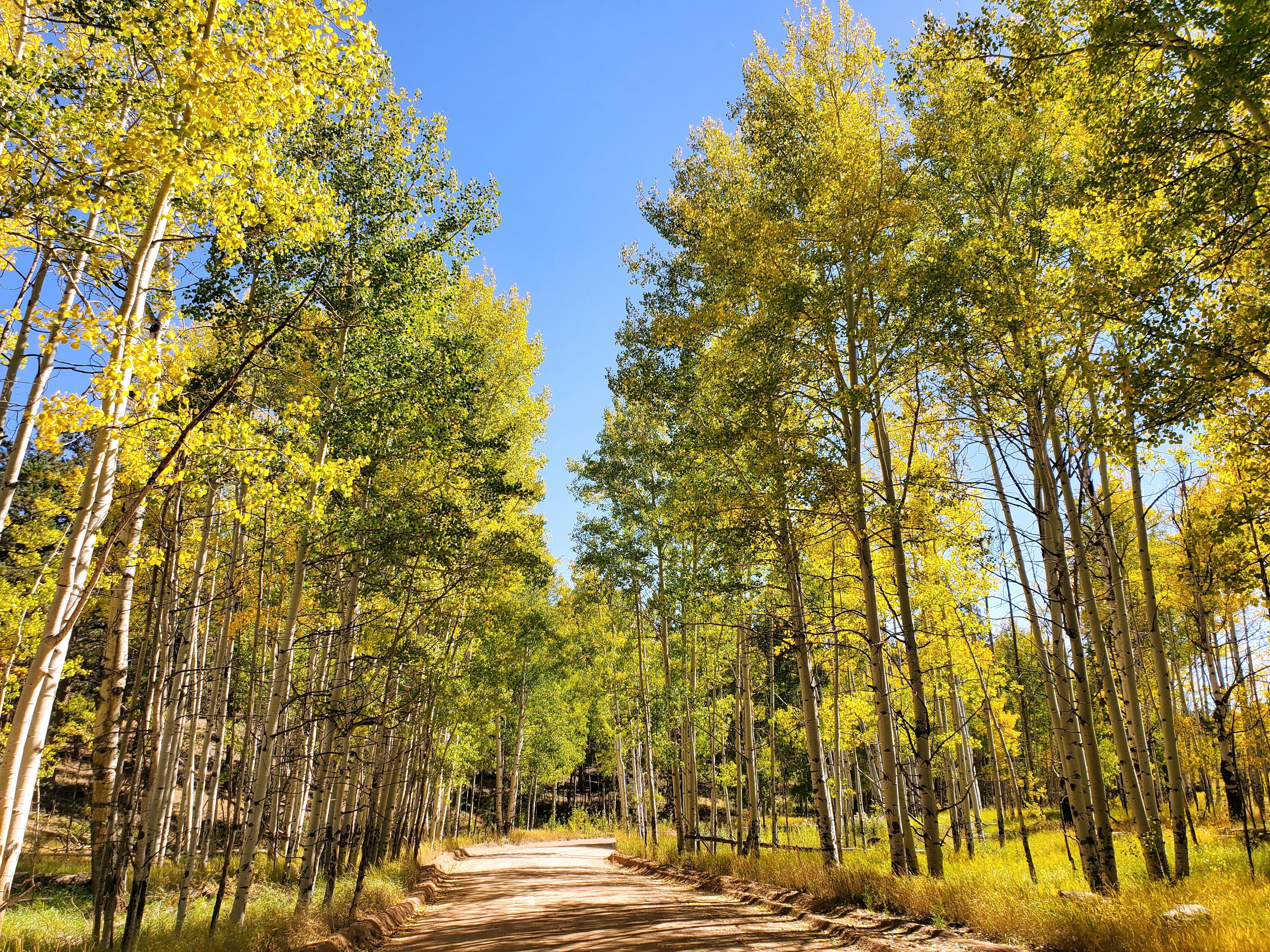 October Update: Help A Parent Out!