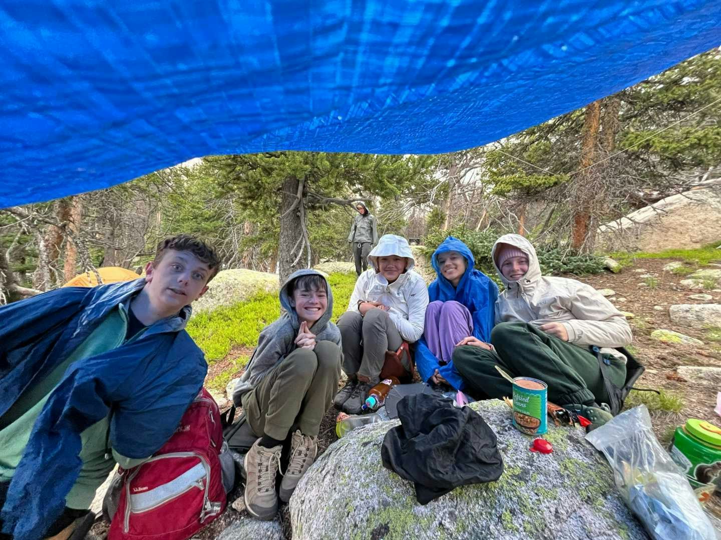 Like Sisters & Brothers