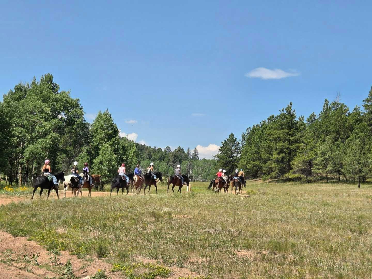 Weekly Update: July 20th, 2025