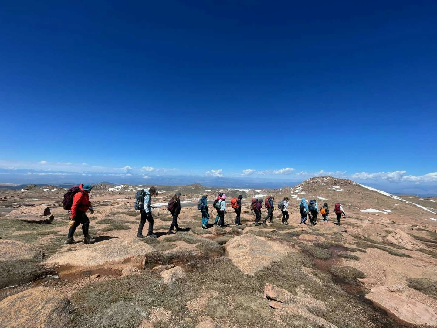 December Update: Goodbye Year of the Snake, Howdy to the Year of the Horse