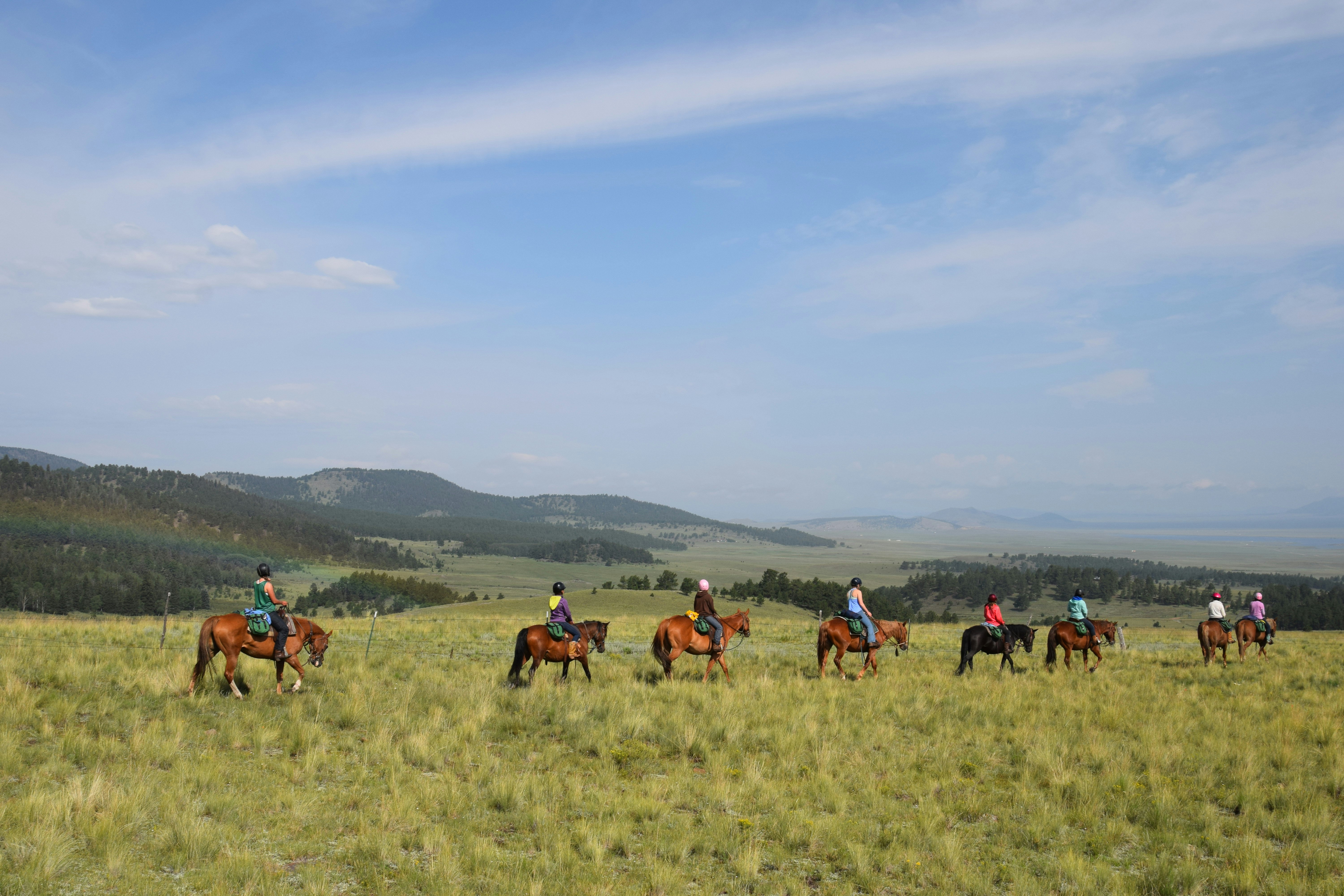 You CAN have your cake and eat it too- at camp!