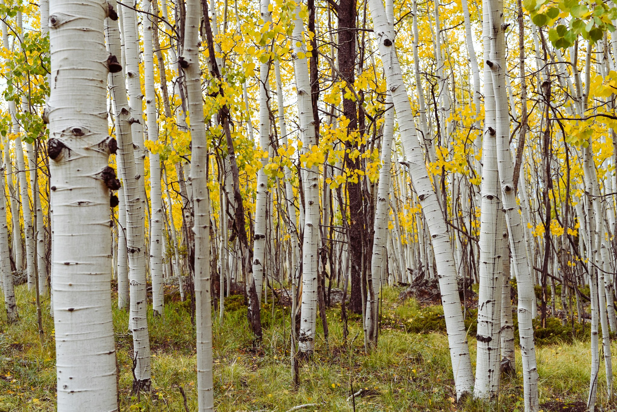 News from Camp: October 1, 2017