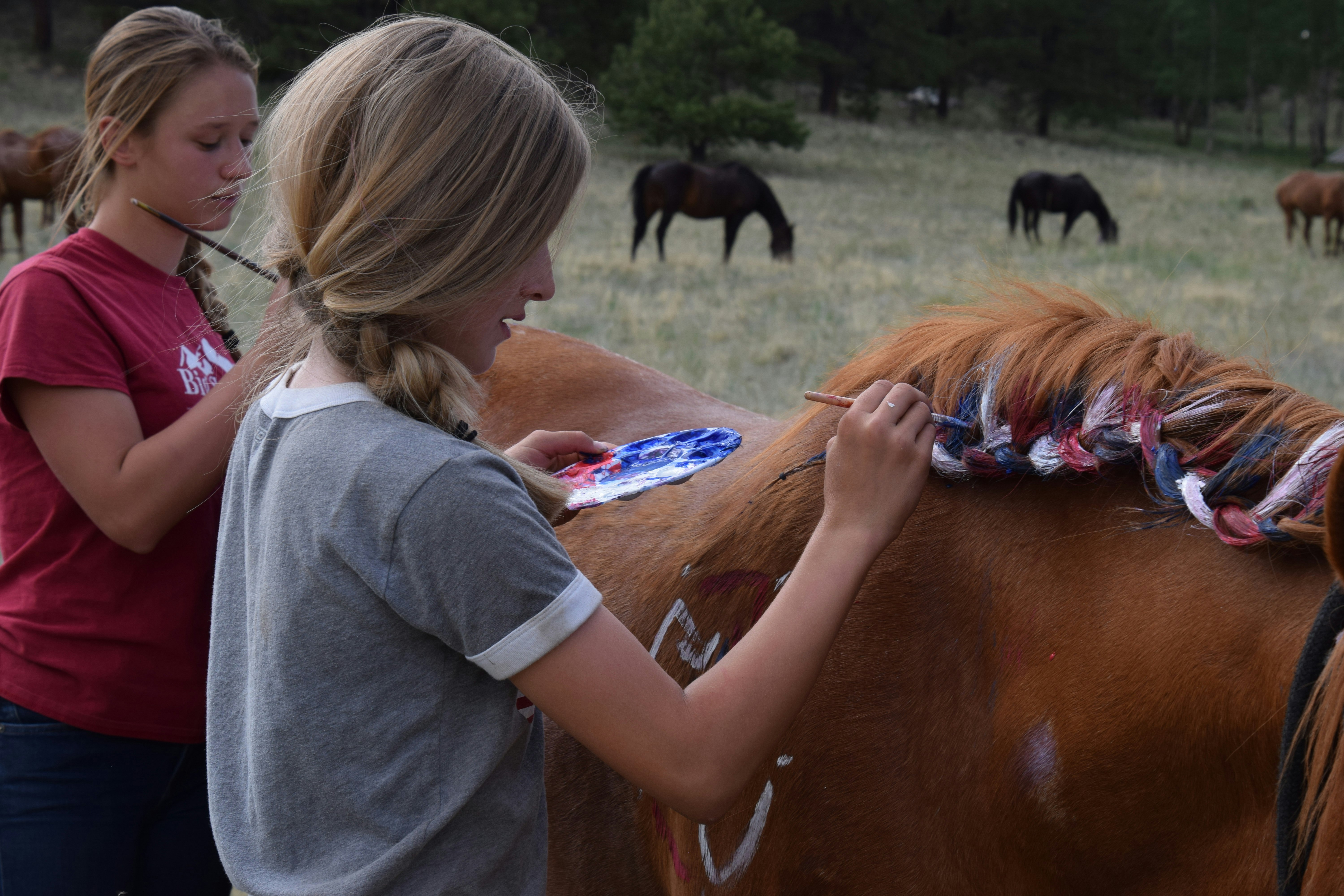 Give the gift of camp on #GivingTuesday