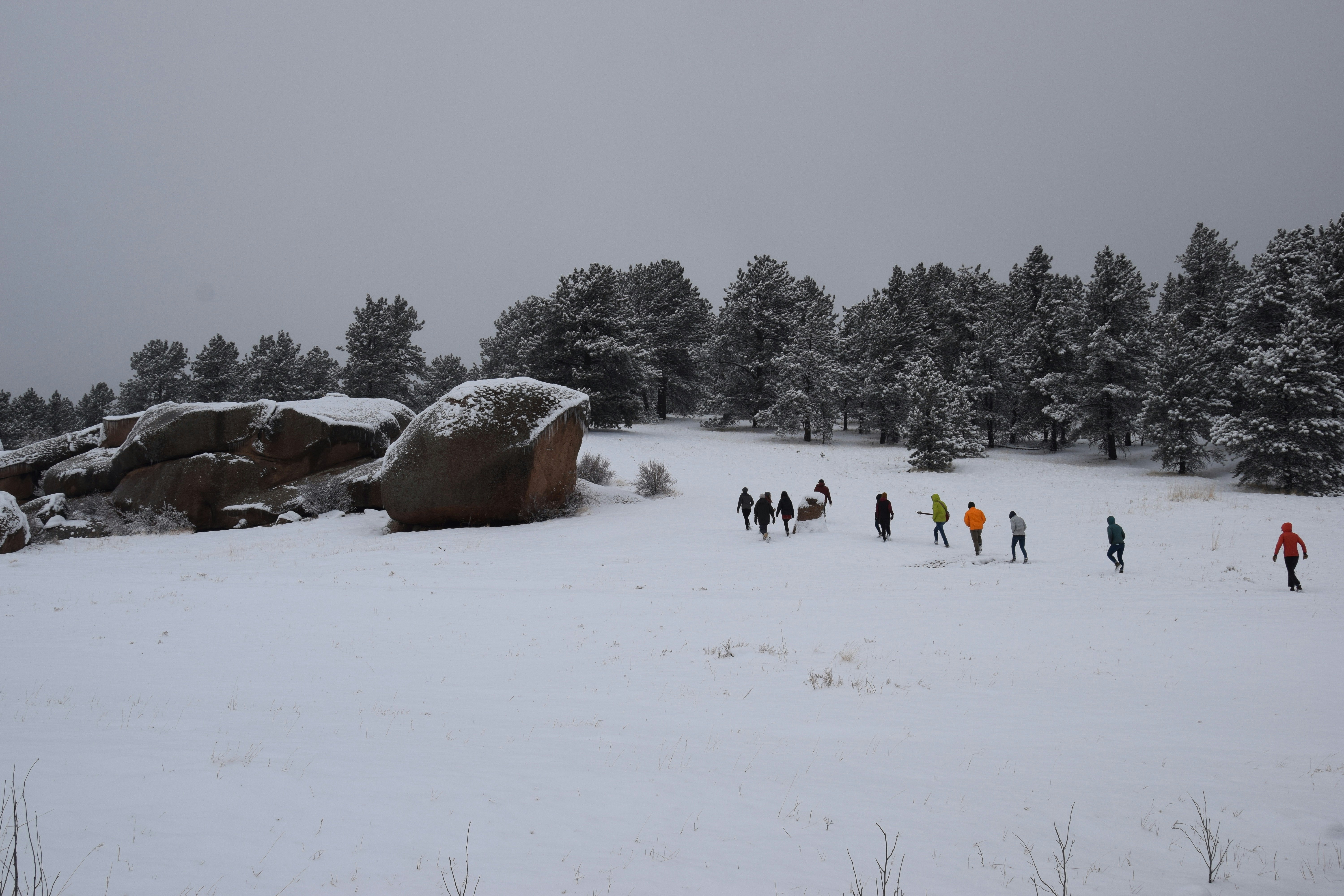 News from Camp: April 1, 2018