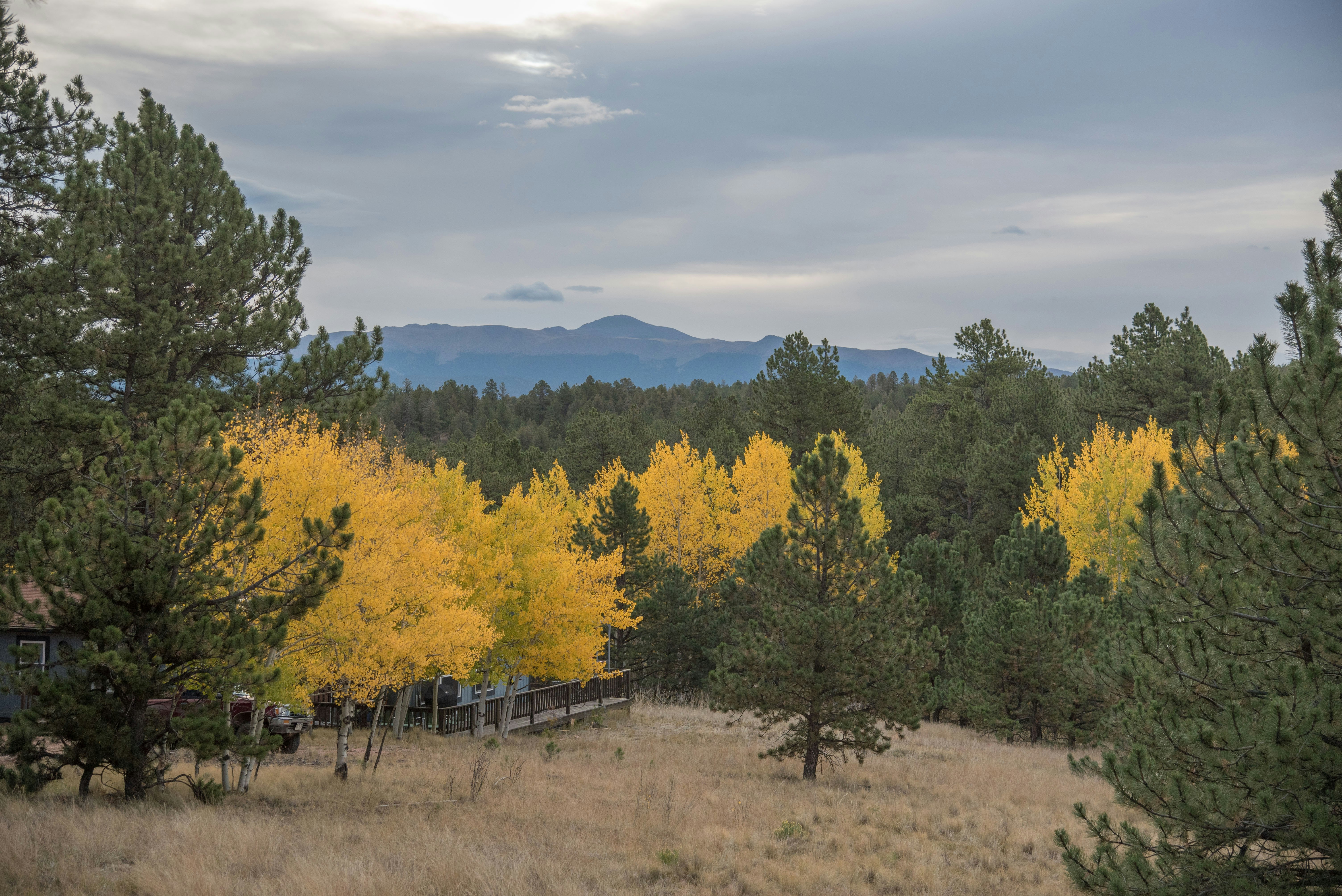 News from Camp: October 1, 2018