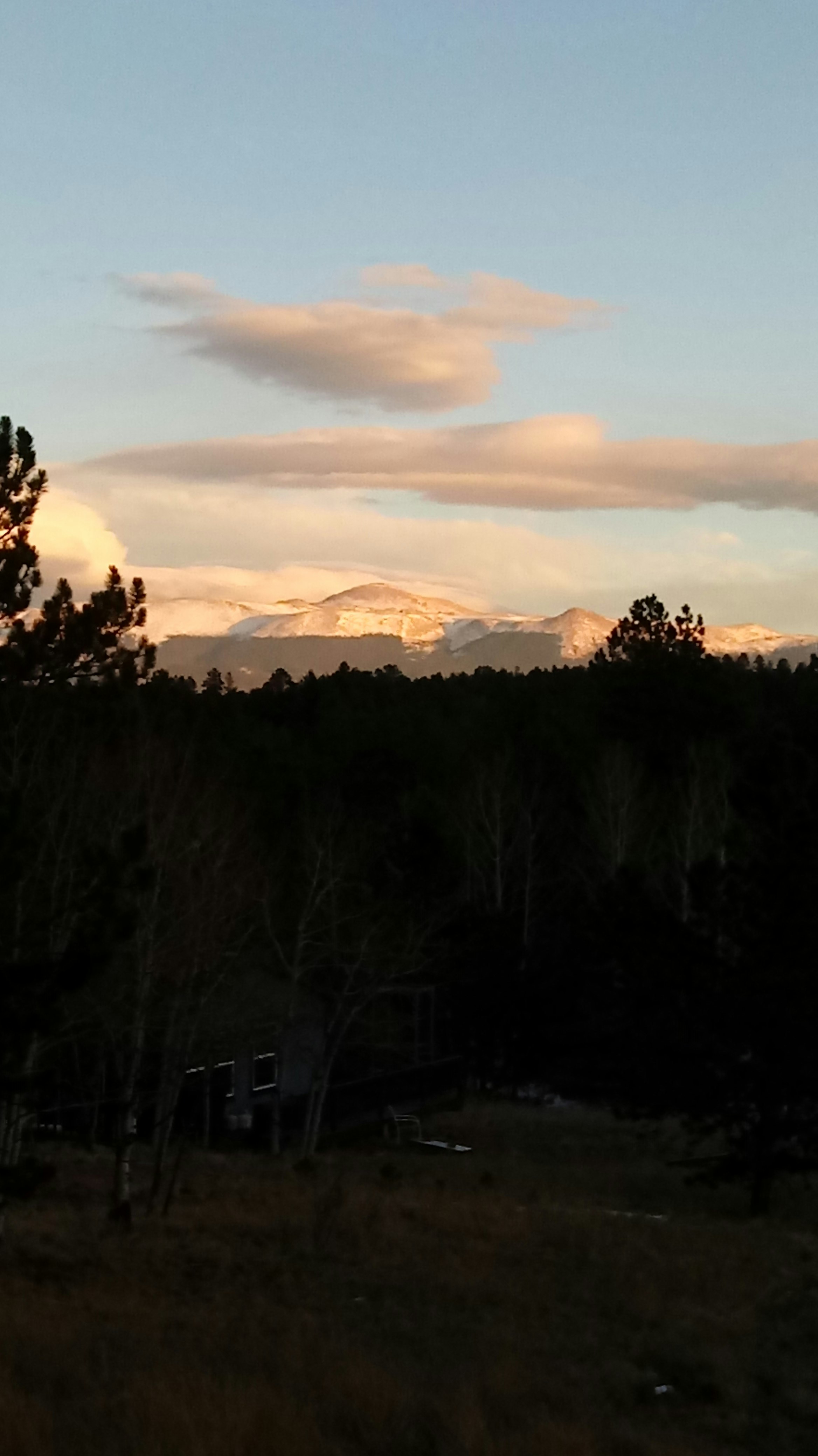 News from Camp: December 1, 2018