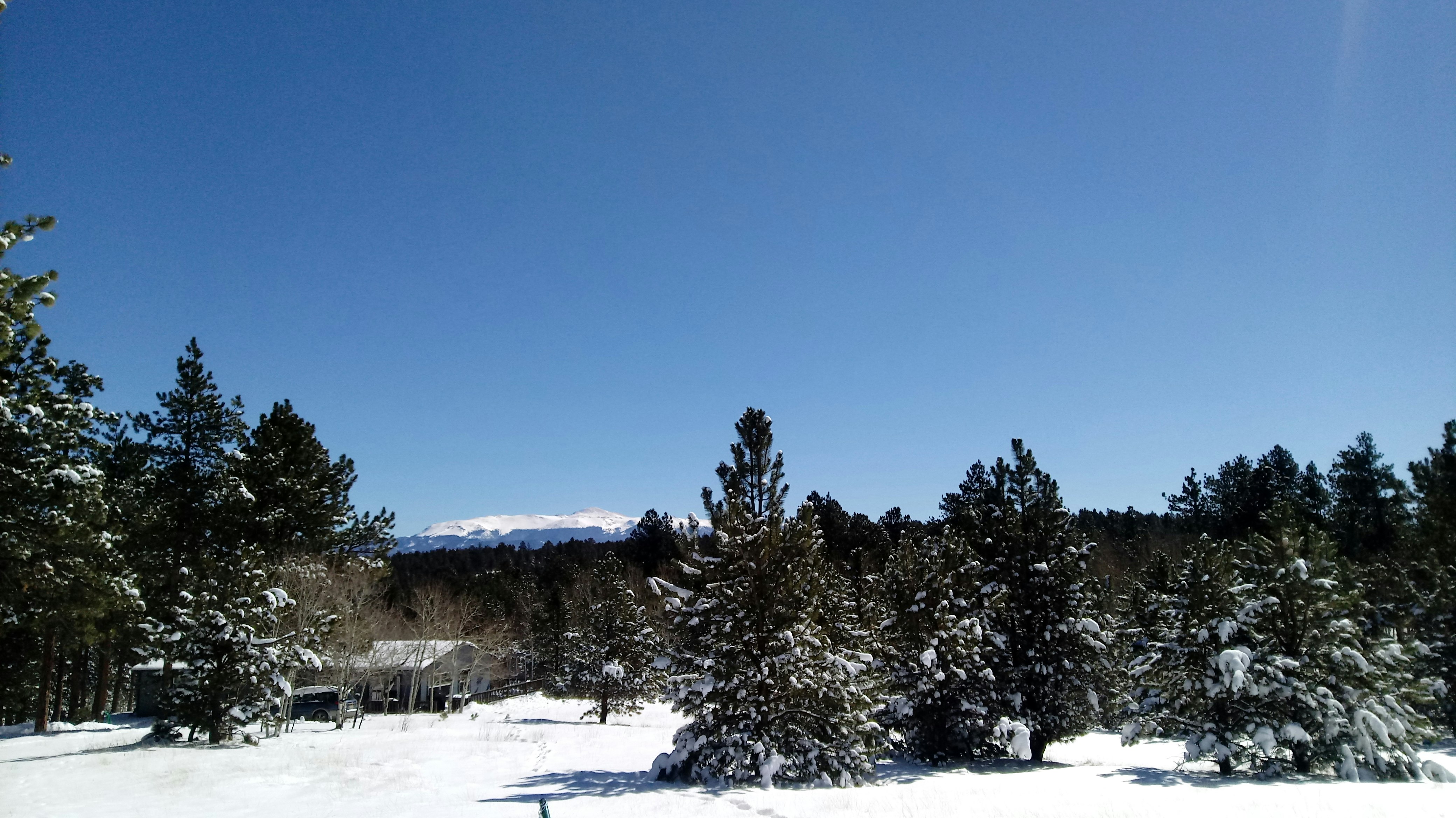 News from Camp: April 1, 2019