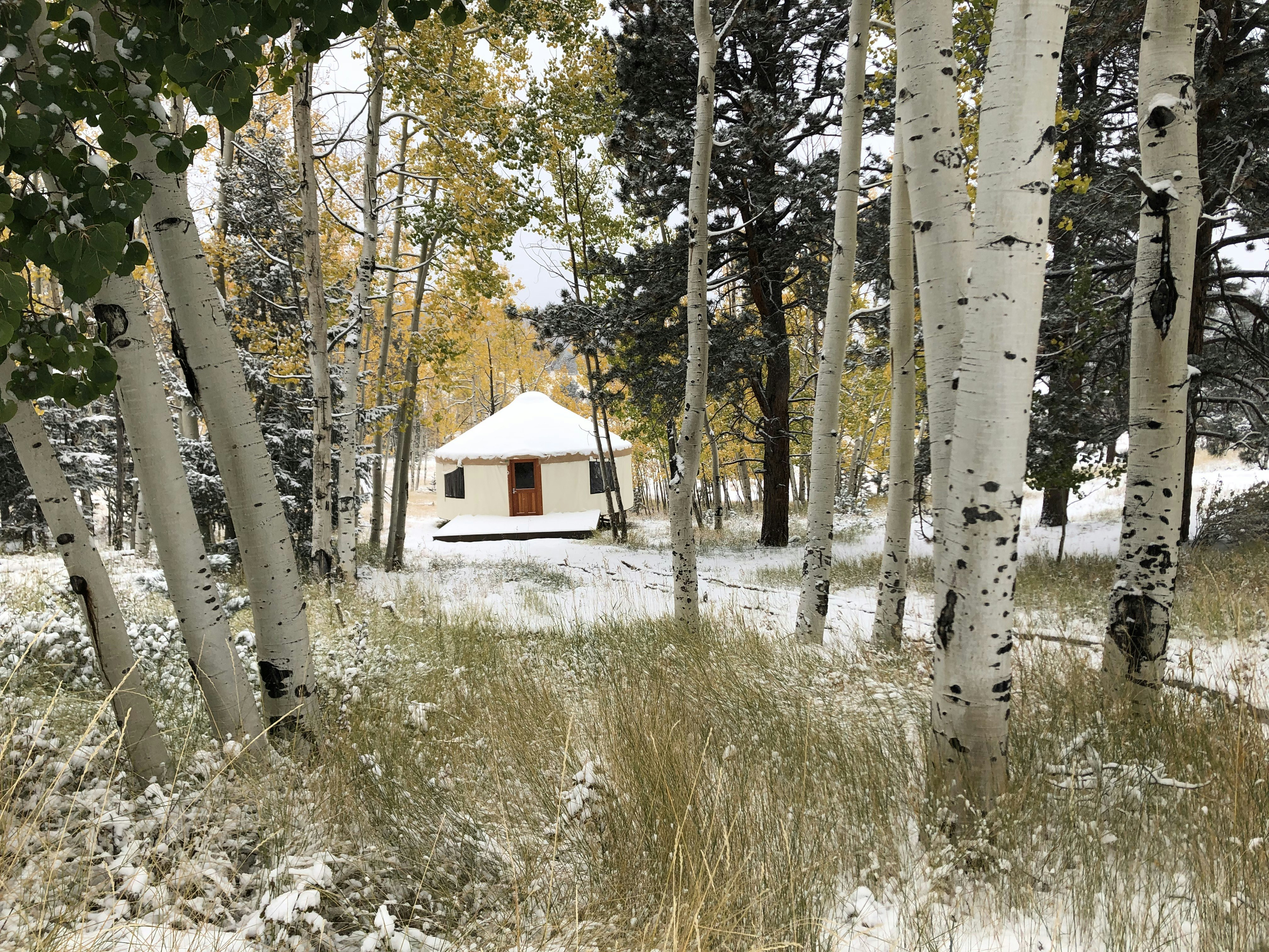 News from Camp: November 1, 2019