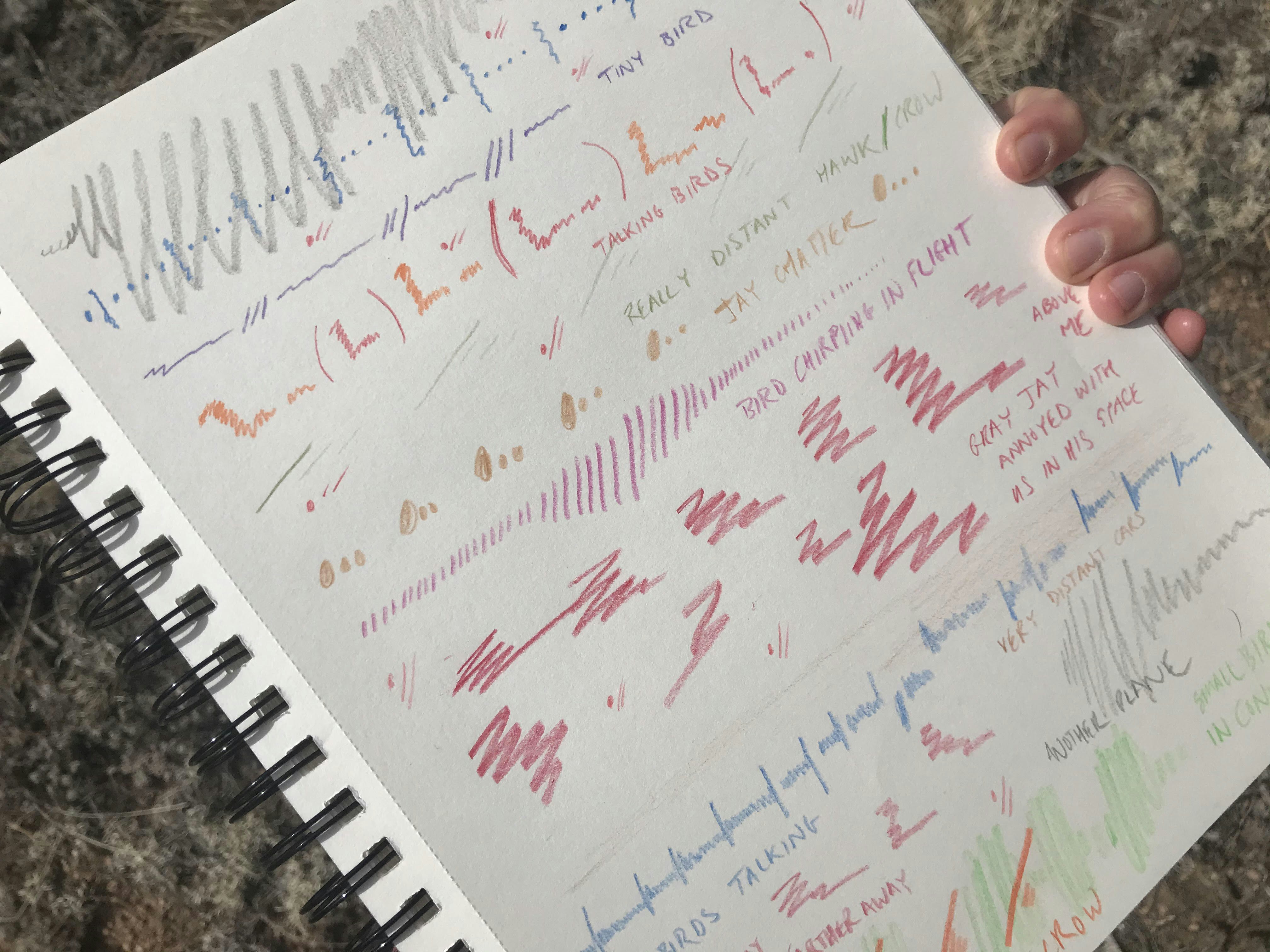 Nature Nuggets #1: Making Sound Tapestries