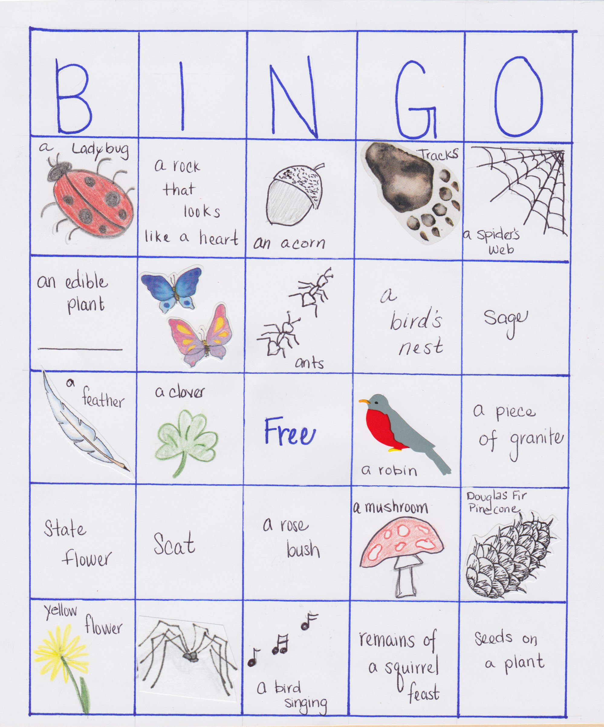 Nature Nuggets #2: Nature Bingo