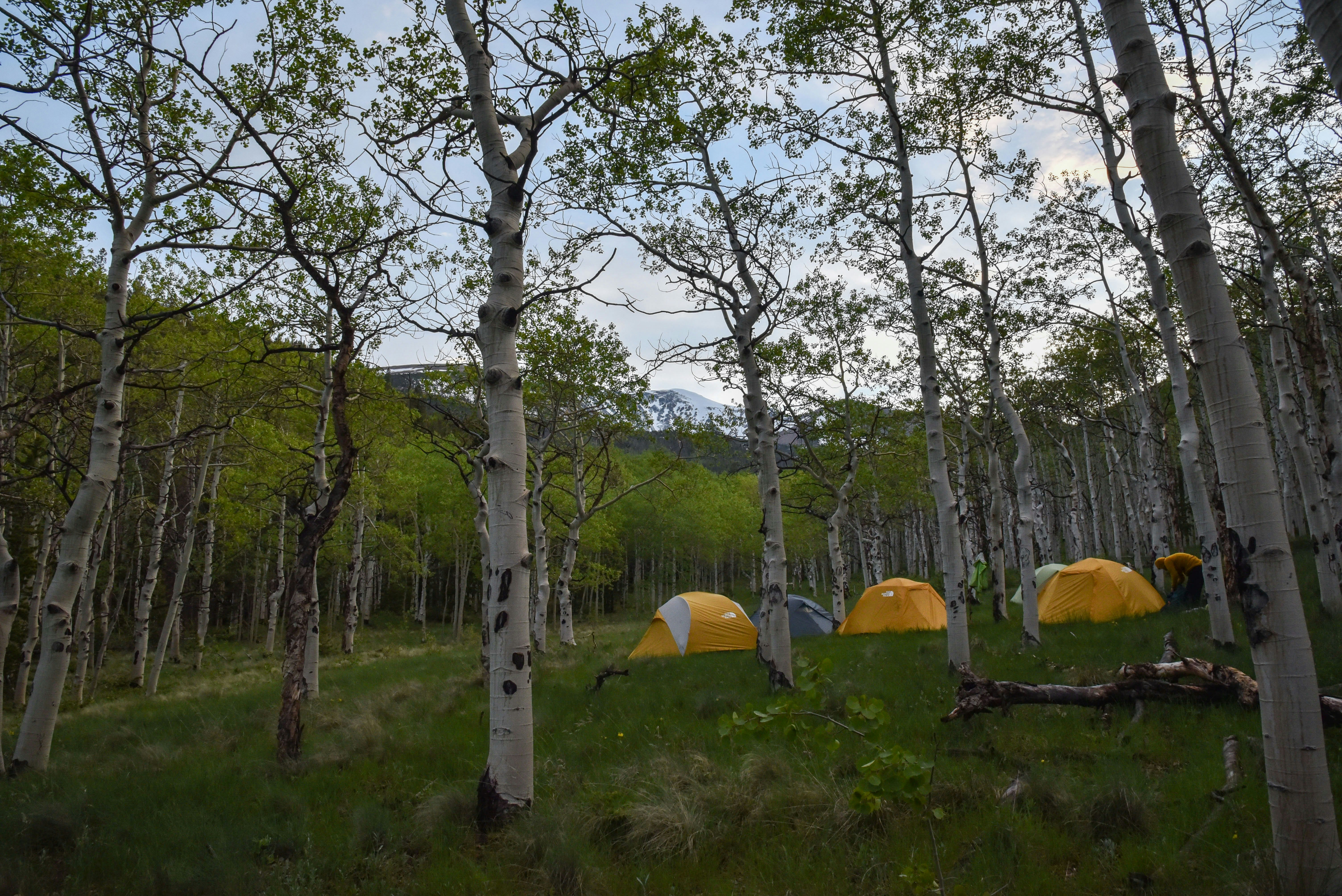 Mental Health Practices For Everyone