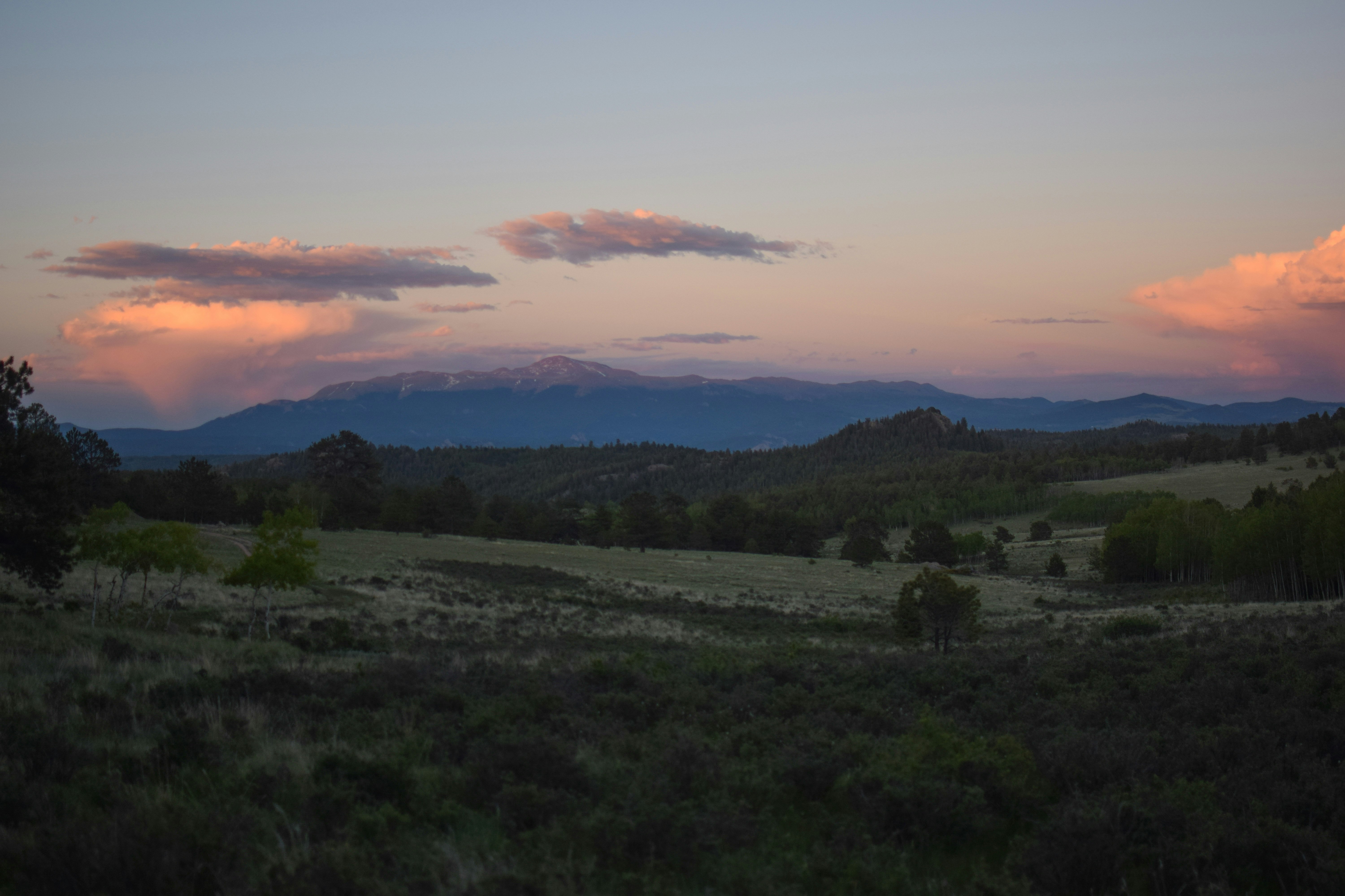 A Message to Campers and Camp Families from the SWC Directors