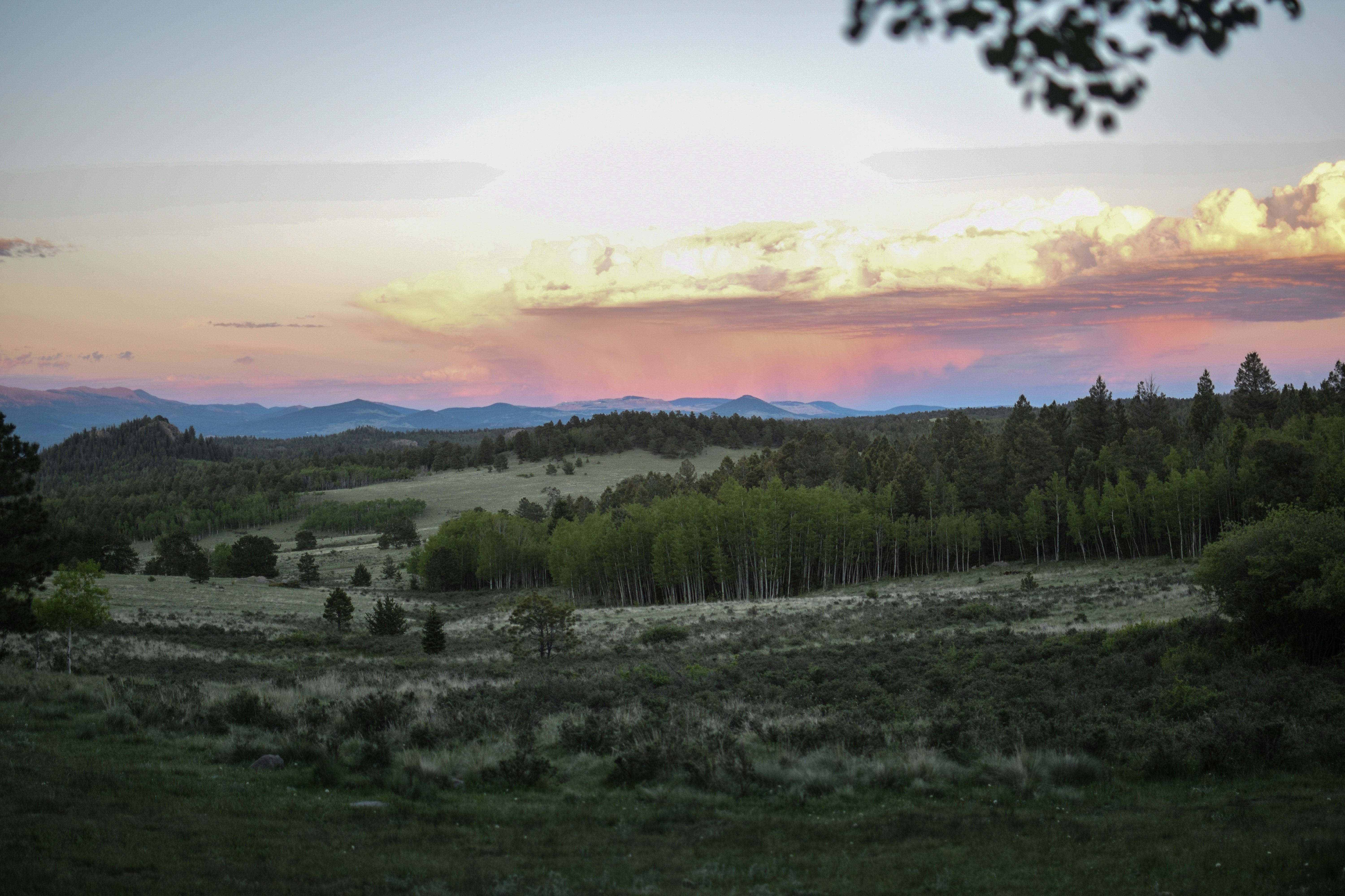 Letter to Camp Families