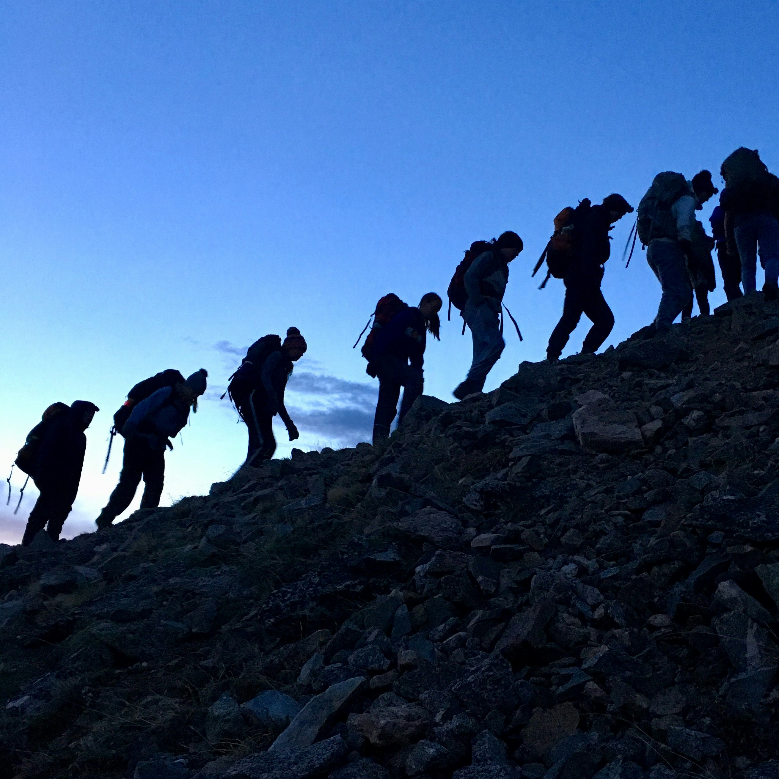 A Commitment to Justice, Equity, Diversity, and Inclusion at COEC 