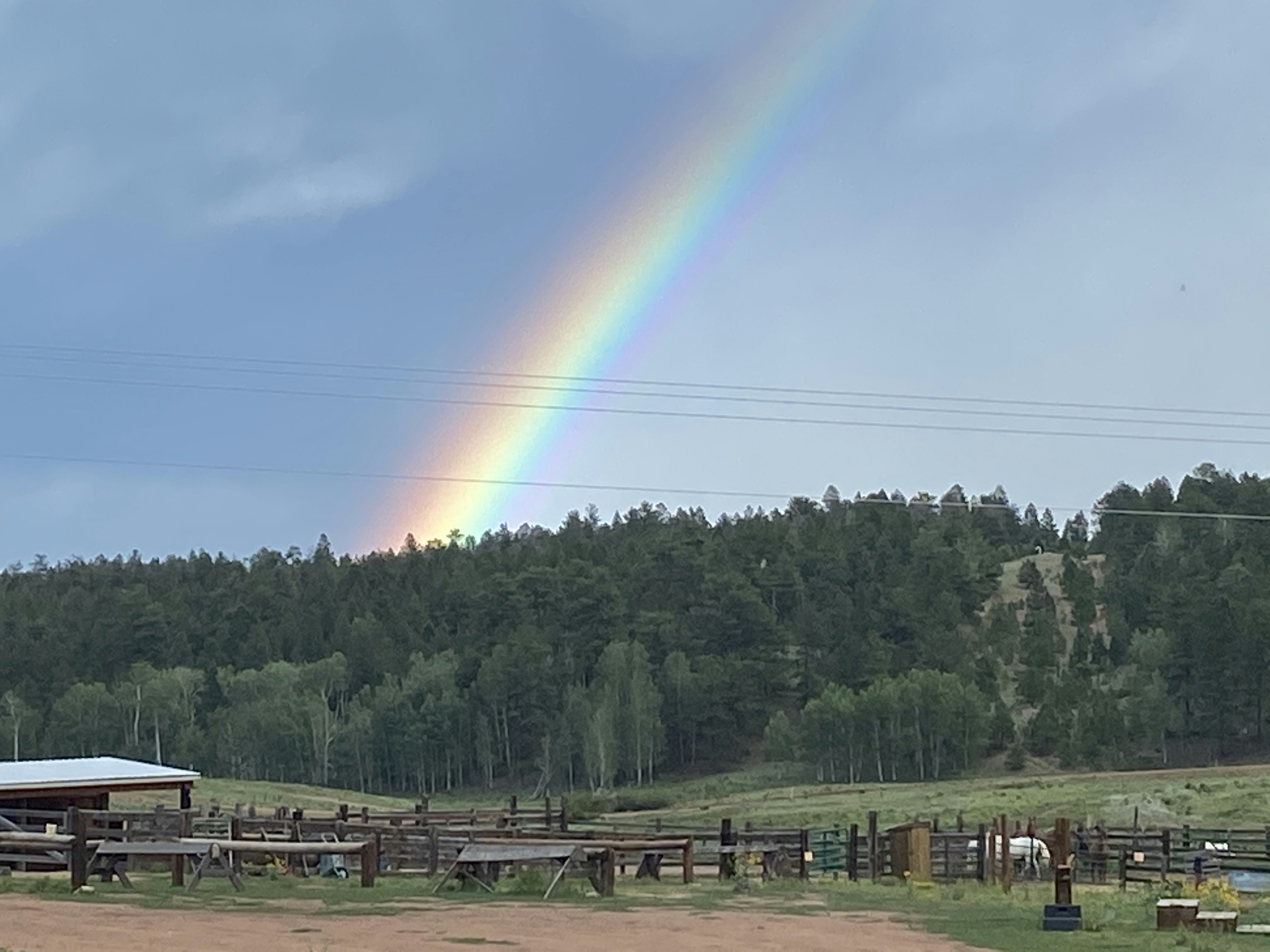 Summer Update from the Barn