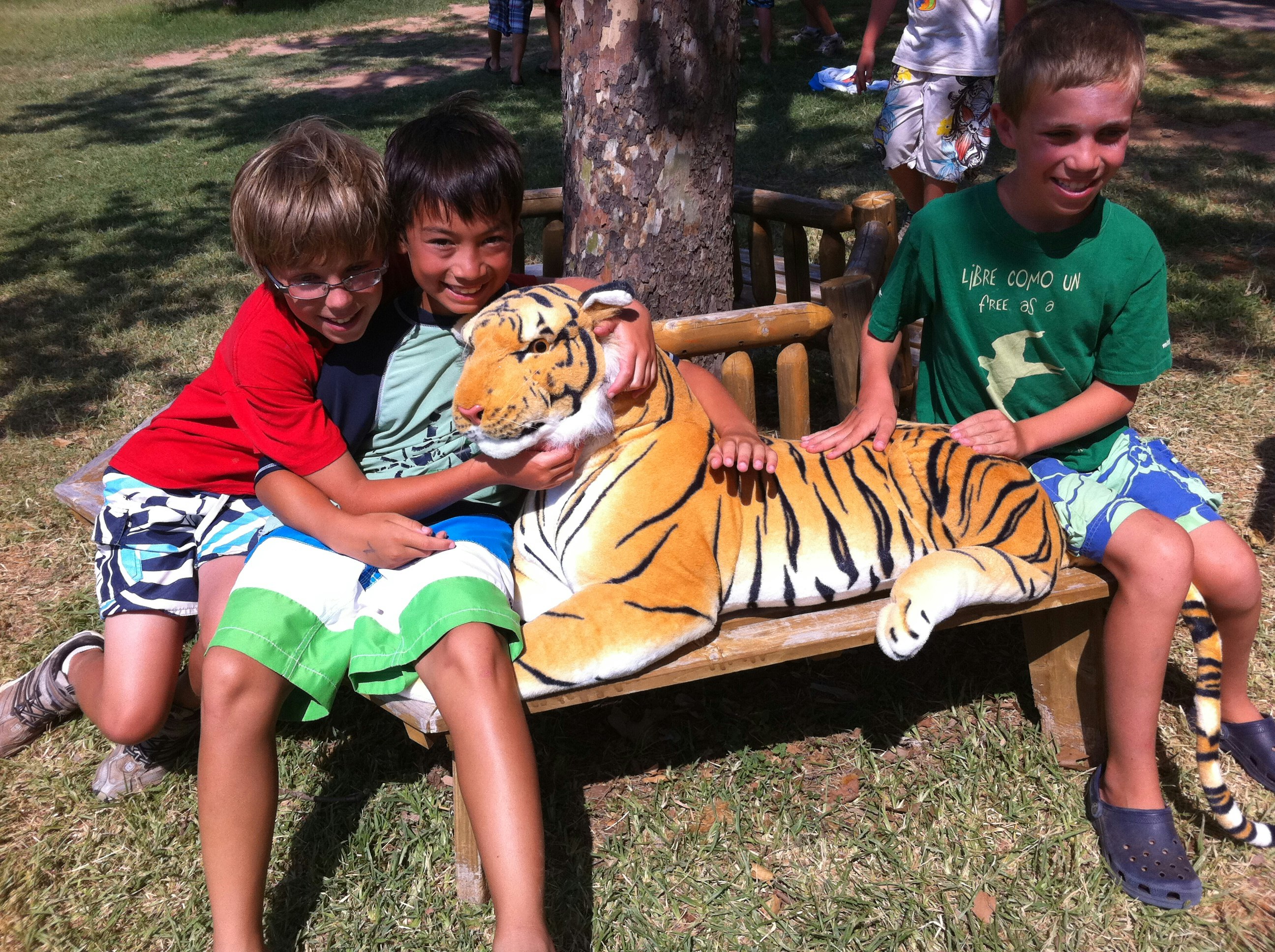 The Tiger and The Cub