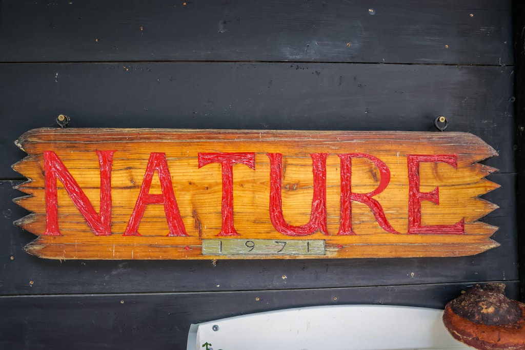 Adirondack Camp's Nature Program Returns!