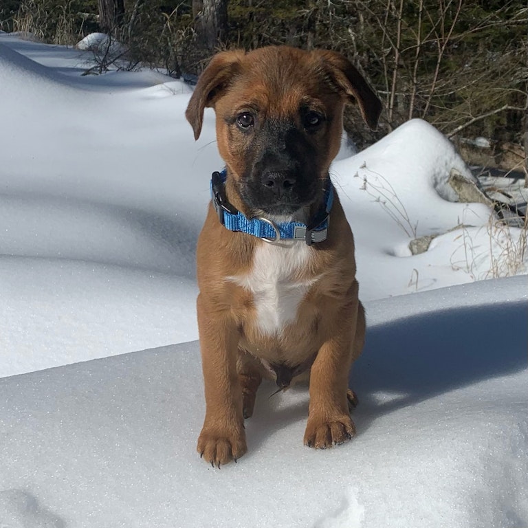 Meet our newest ADK Family Member!