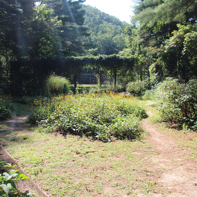 Garden.ricemountain.jpg?ixlib=rails 2.1