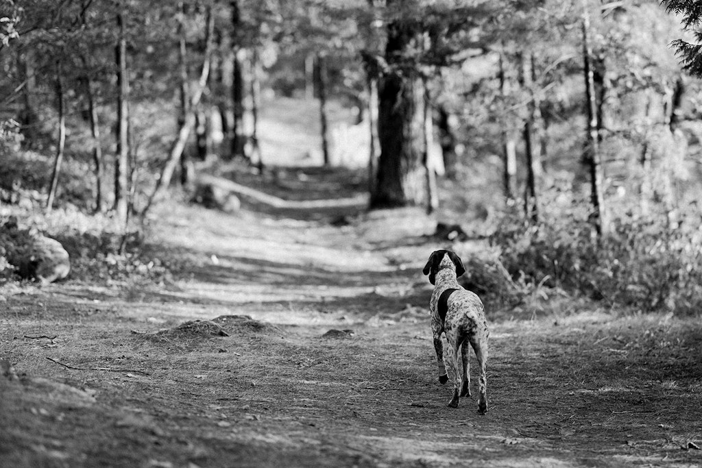 Lake George Welcome Parties: Start Your Destination Wedding Weekend the Right Way