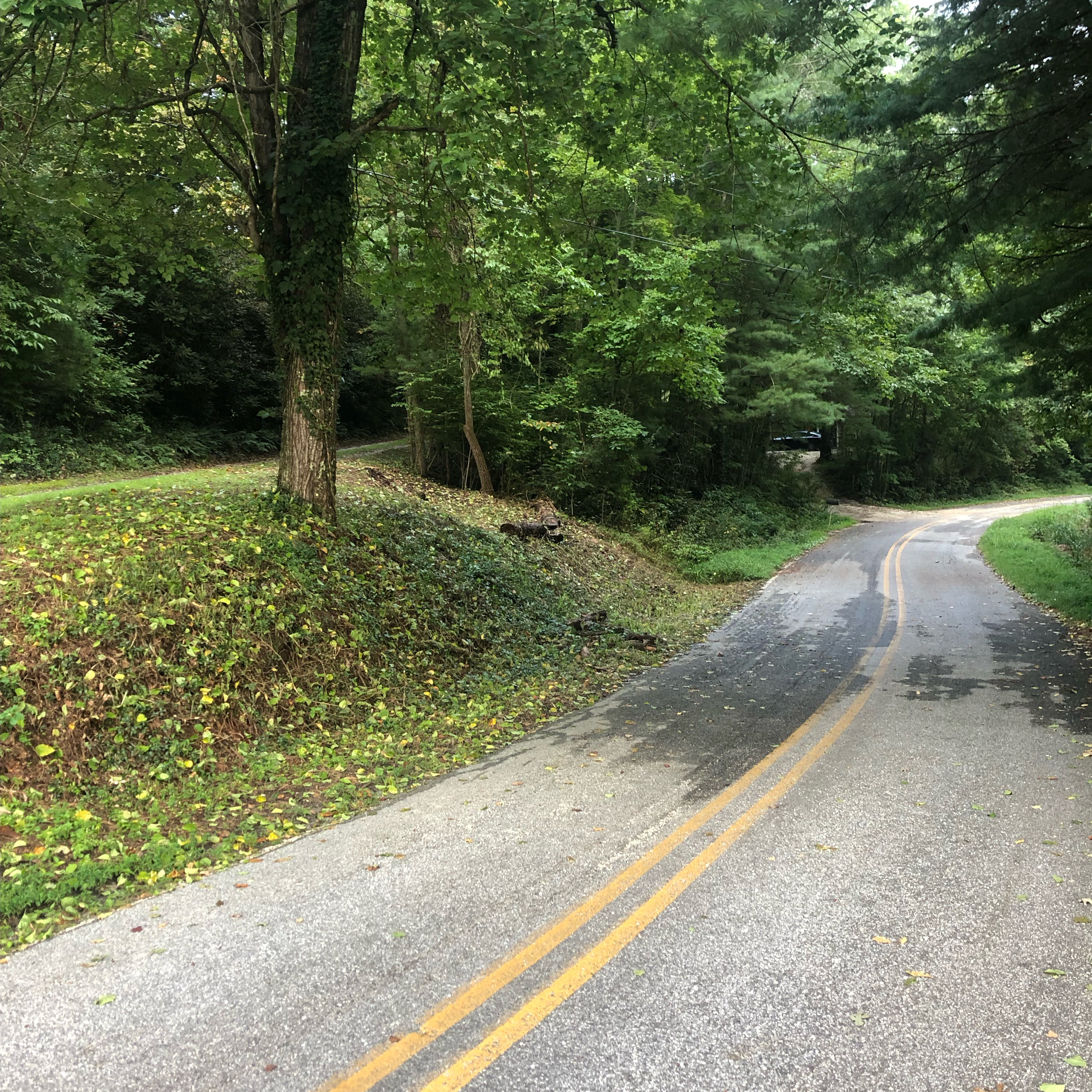 Henderson County NC Brush Removal, Trimming, & Mulching
