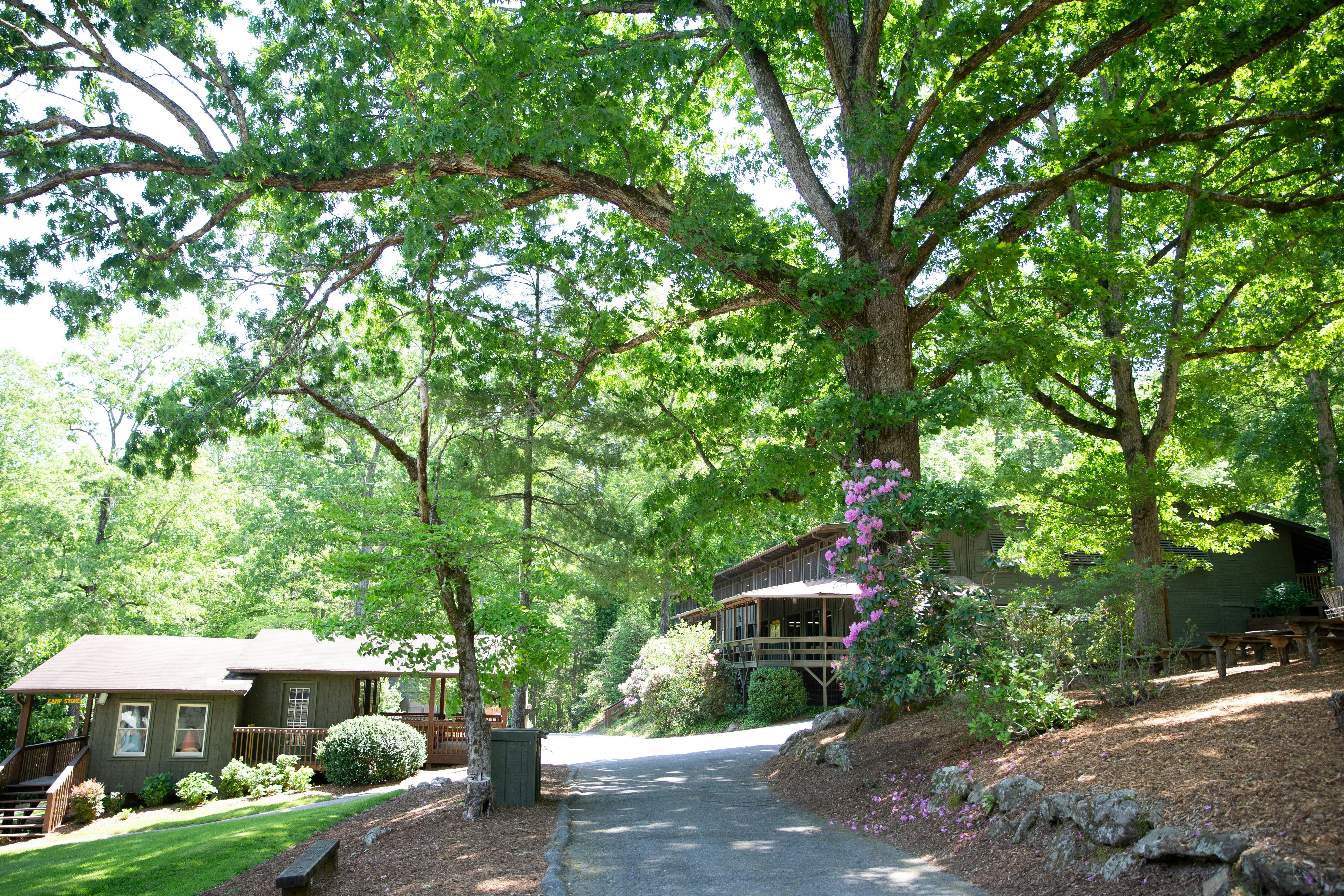 Parent-to-Parent: Why Camp? Why Highlander?