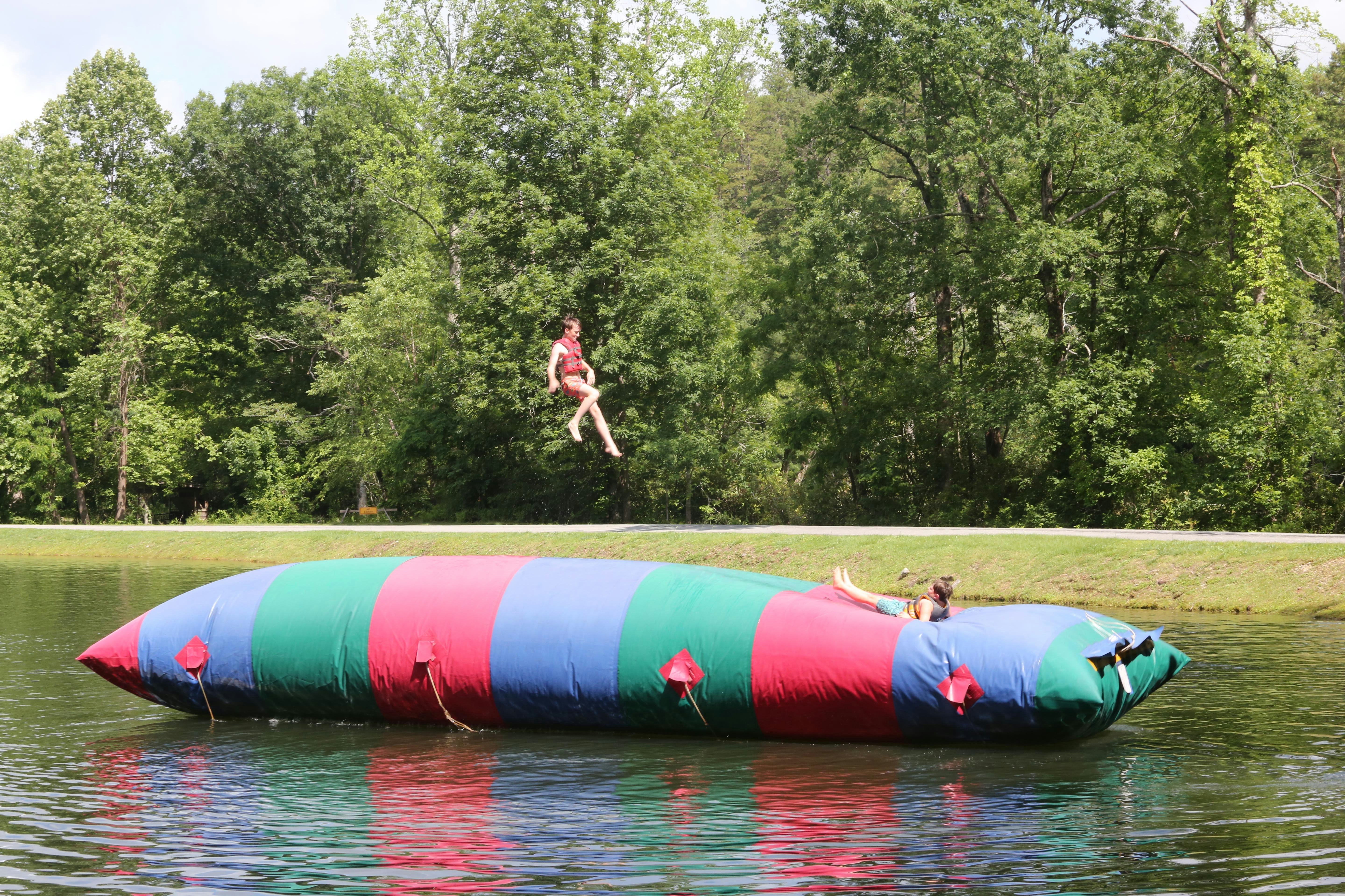 Fun Days and Magical Nights