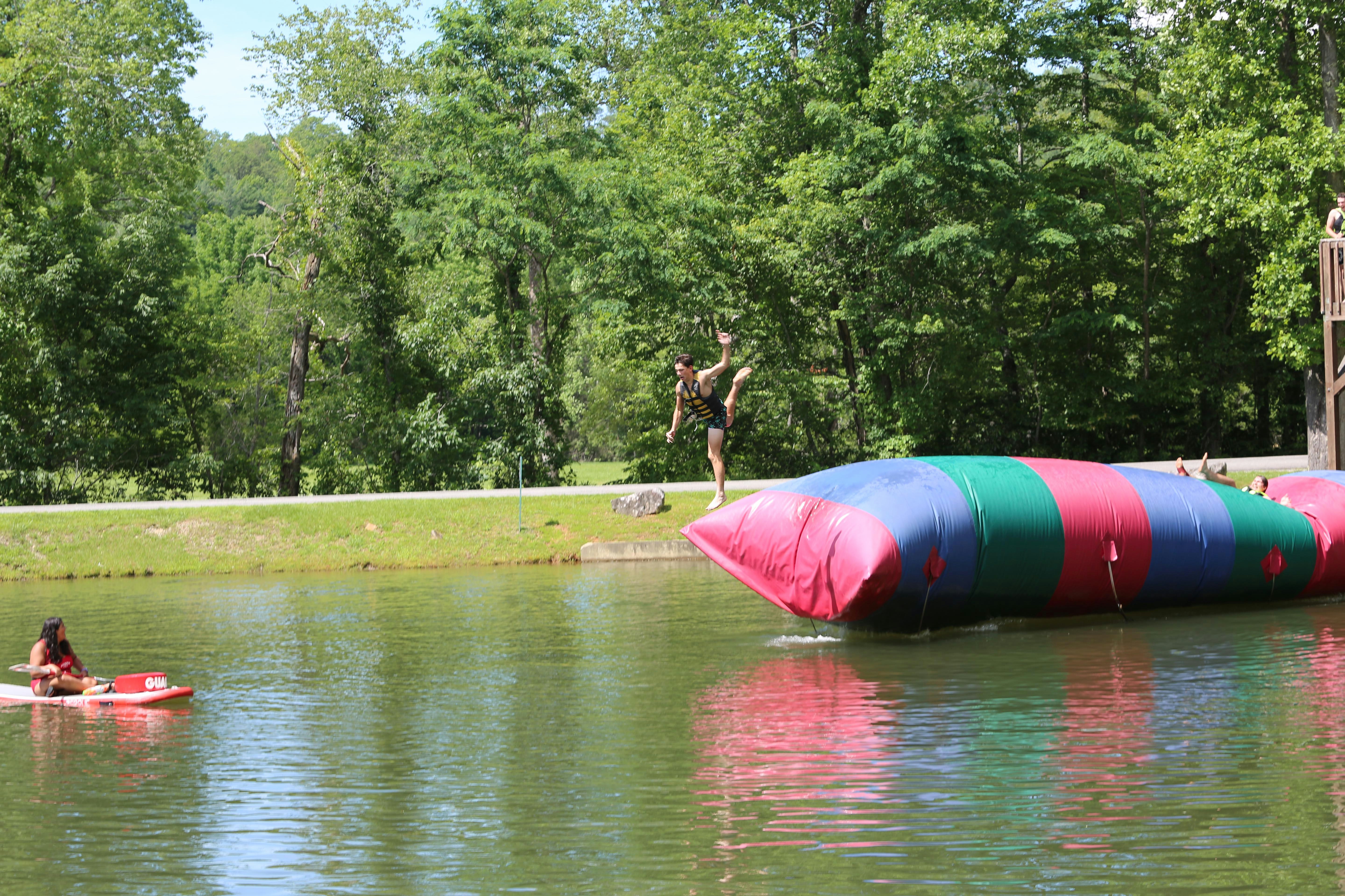 A Field Full of Friends