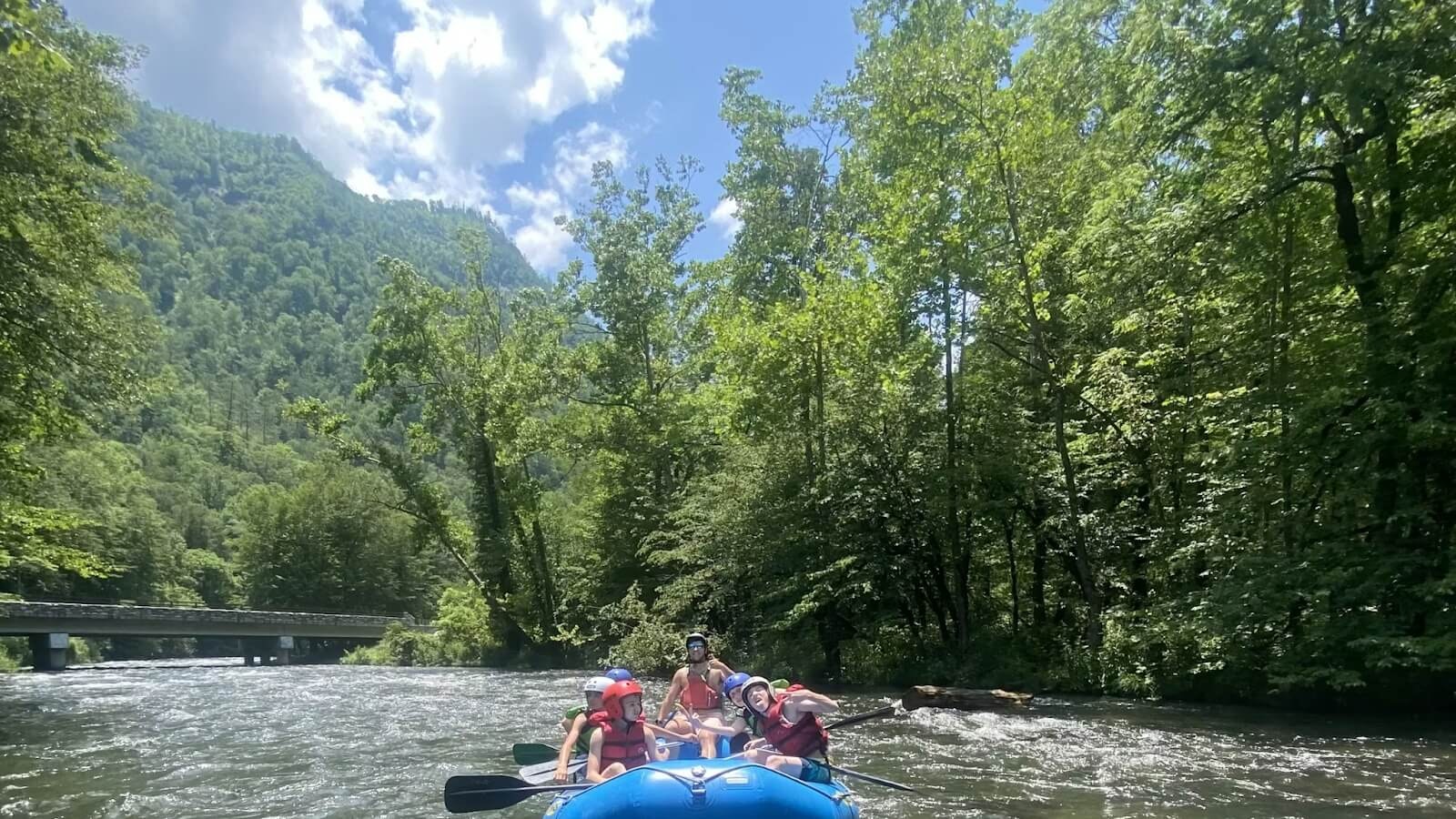 Electronics-Free Summer Camps: Why the ‘Analog Childhood’ Movement Is Reshaping How Parents Choose Camp