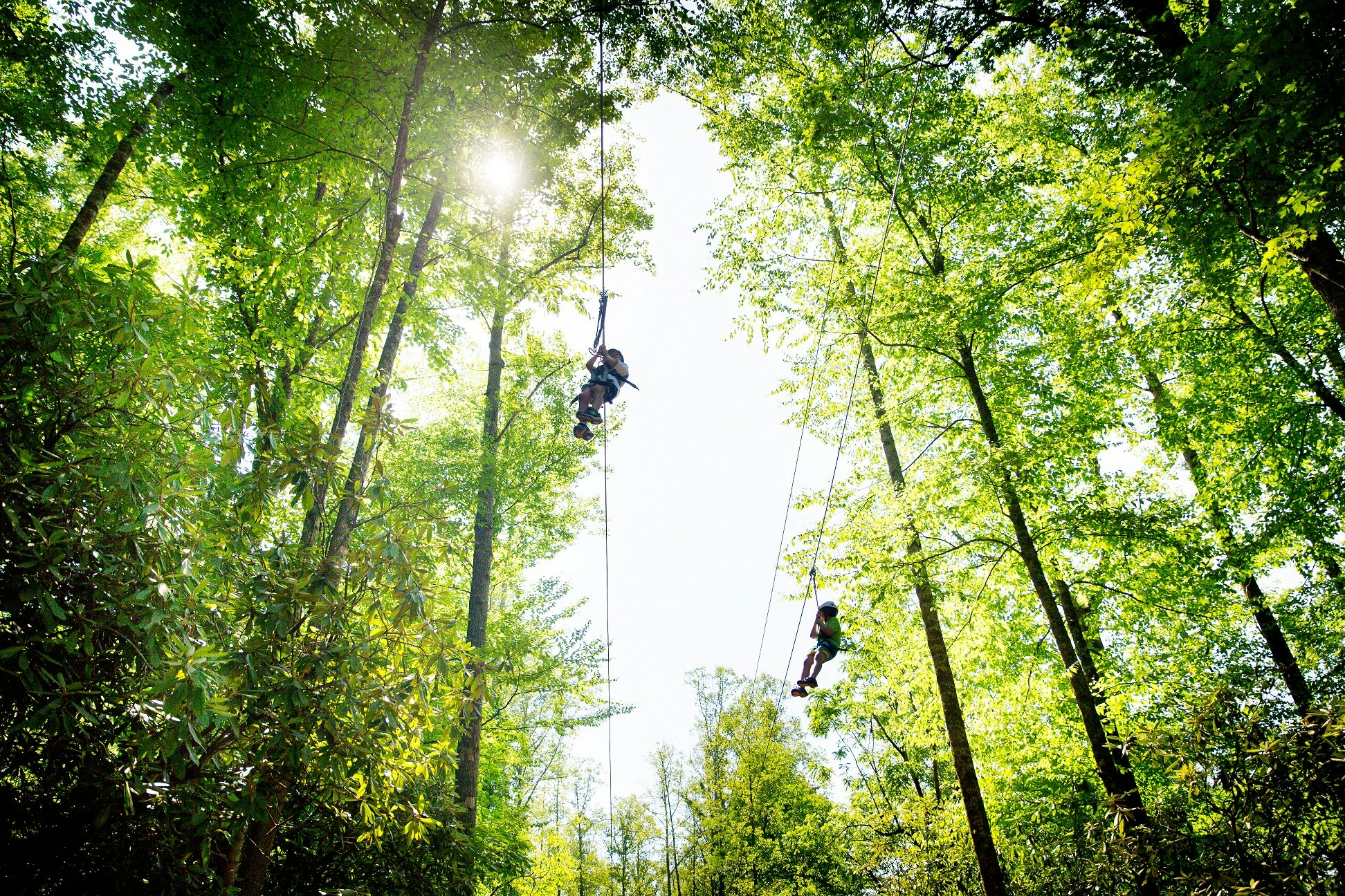 Summer Fades, CHIF is Forever!